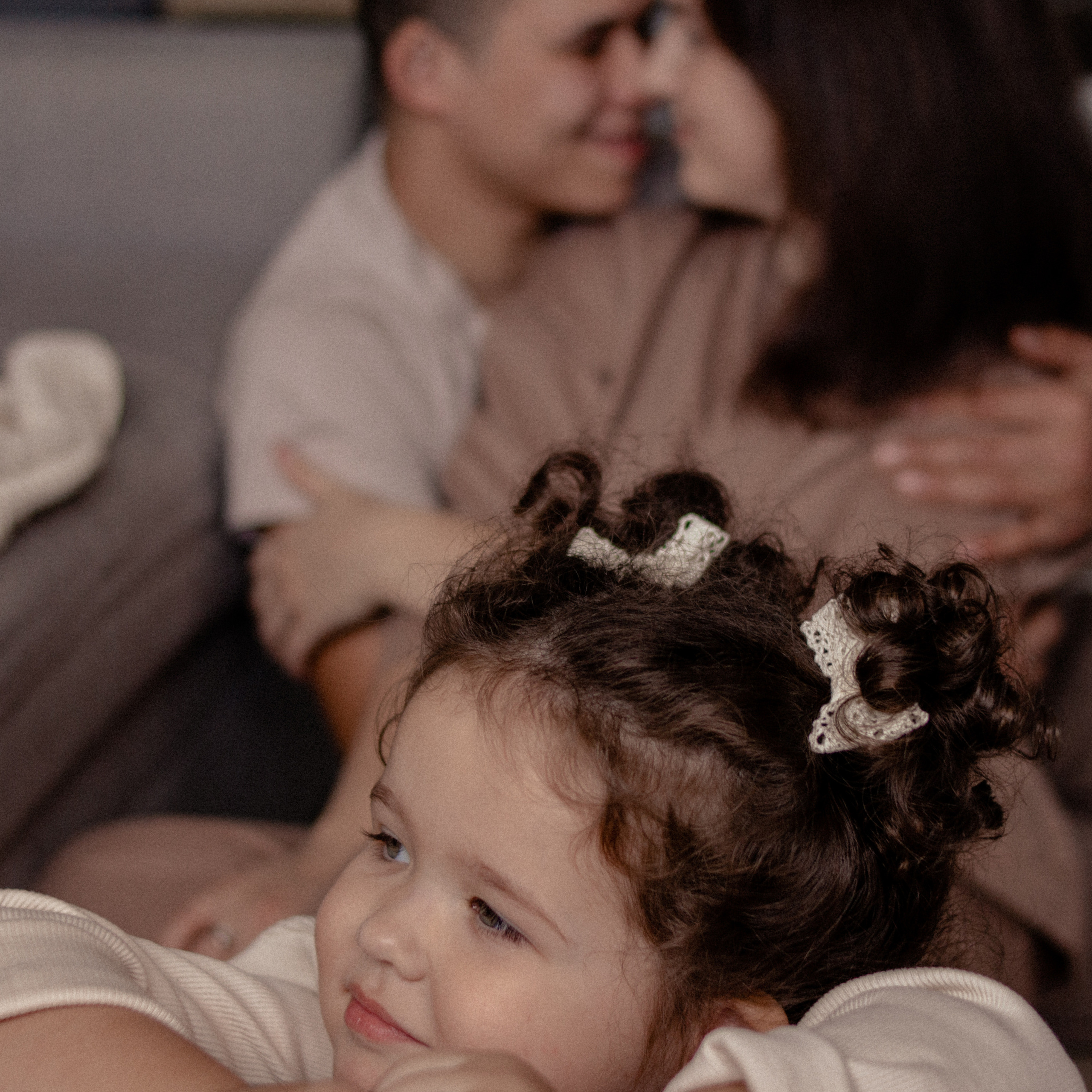 Домашняя история