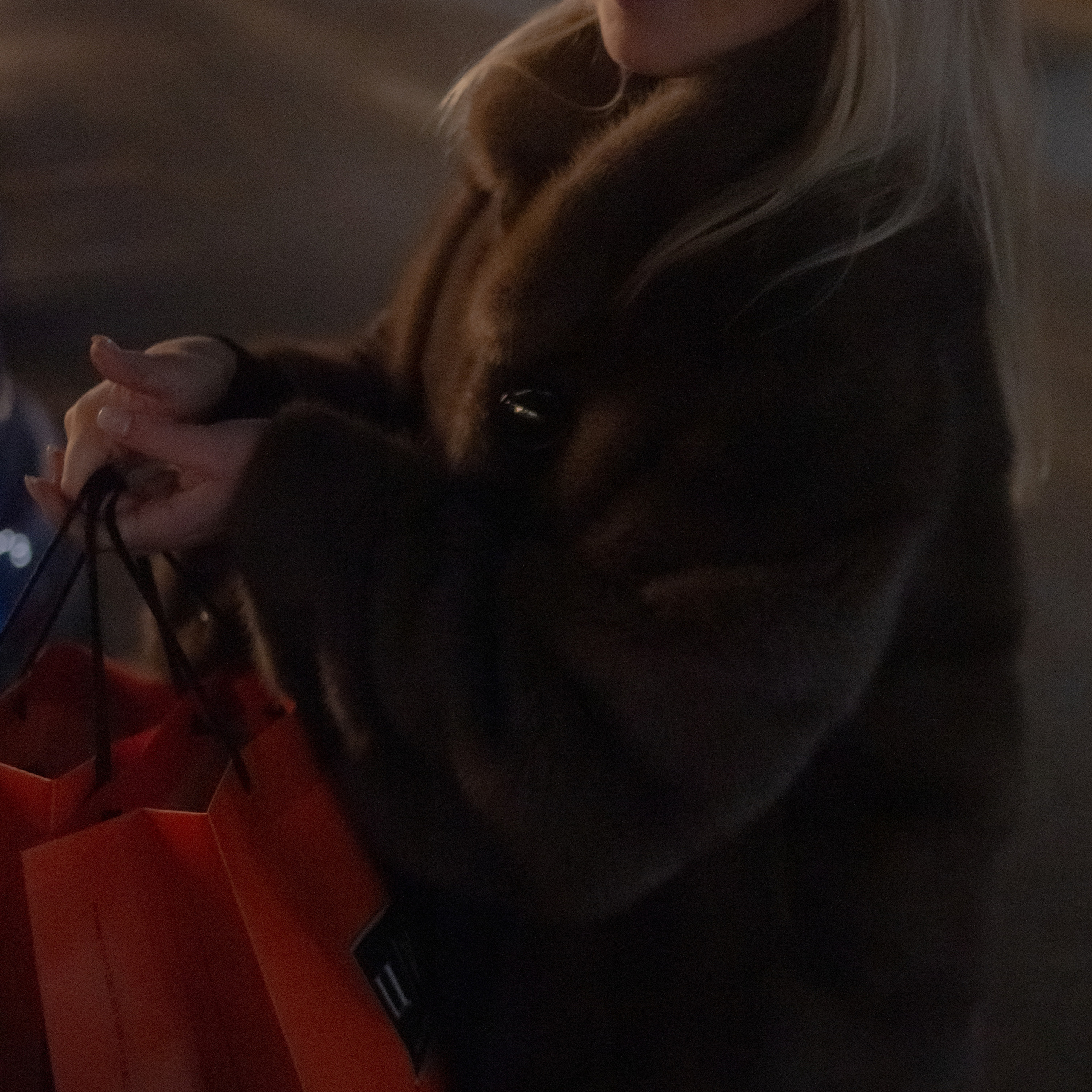 Творческая ночная