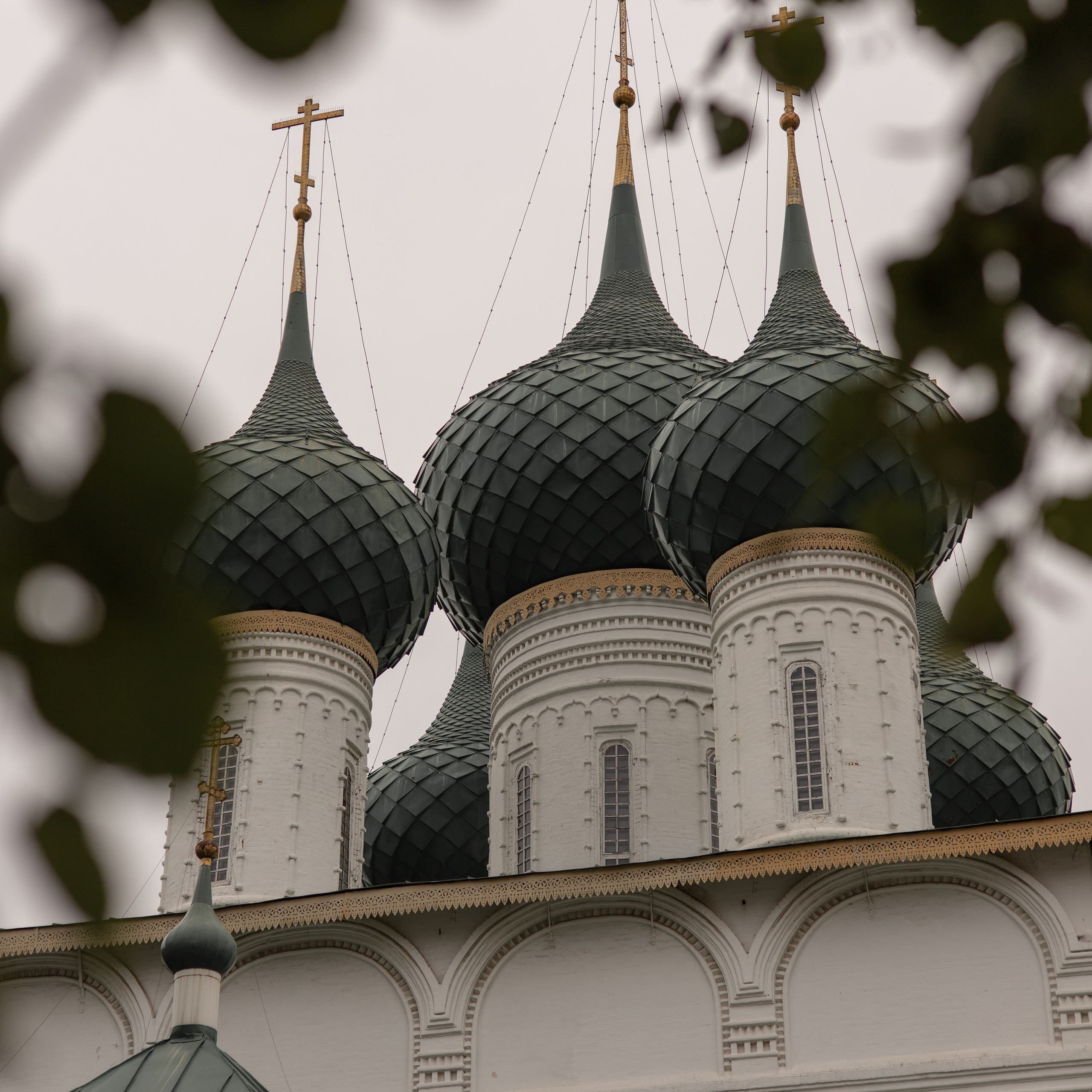 Отзывы. Семейный и детский фотограф в Ярославле Виктория Макаренко