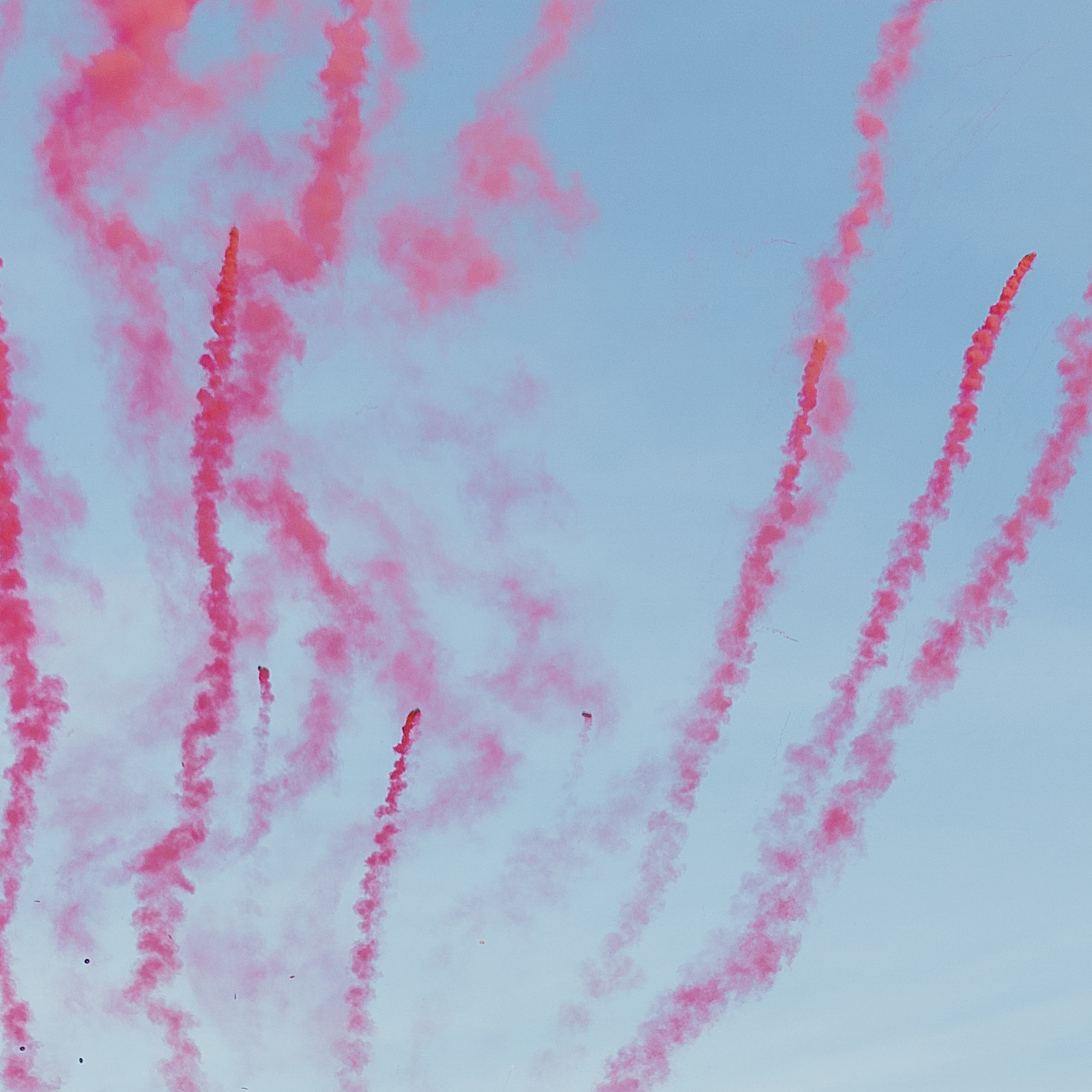 ОТЗЫВЫ. Свадебный и семейный фотограф Харольцева Наталья