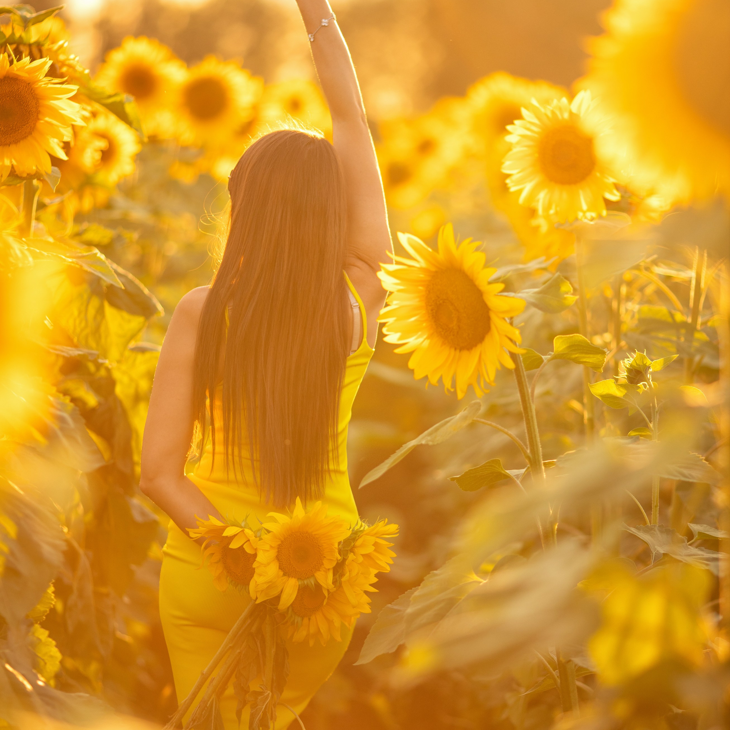 В подсолнухах однажды летом