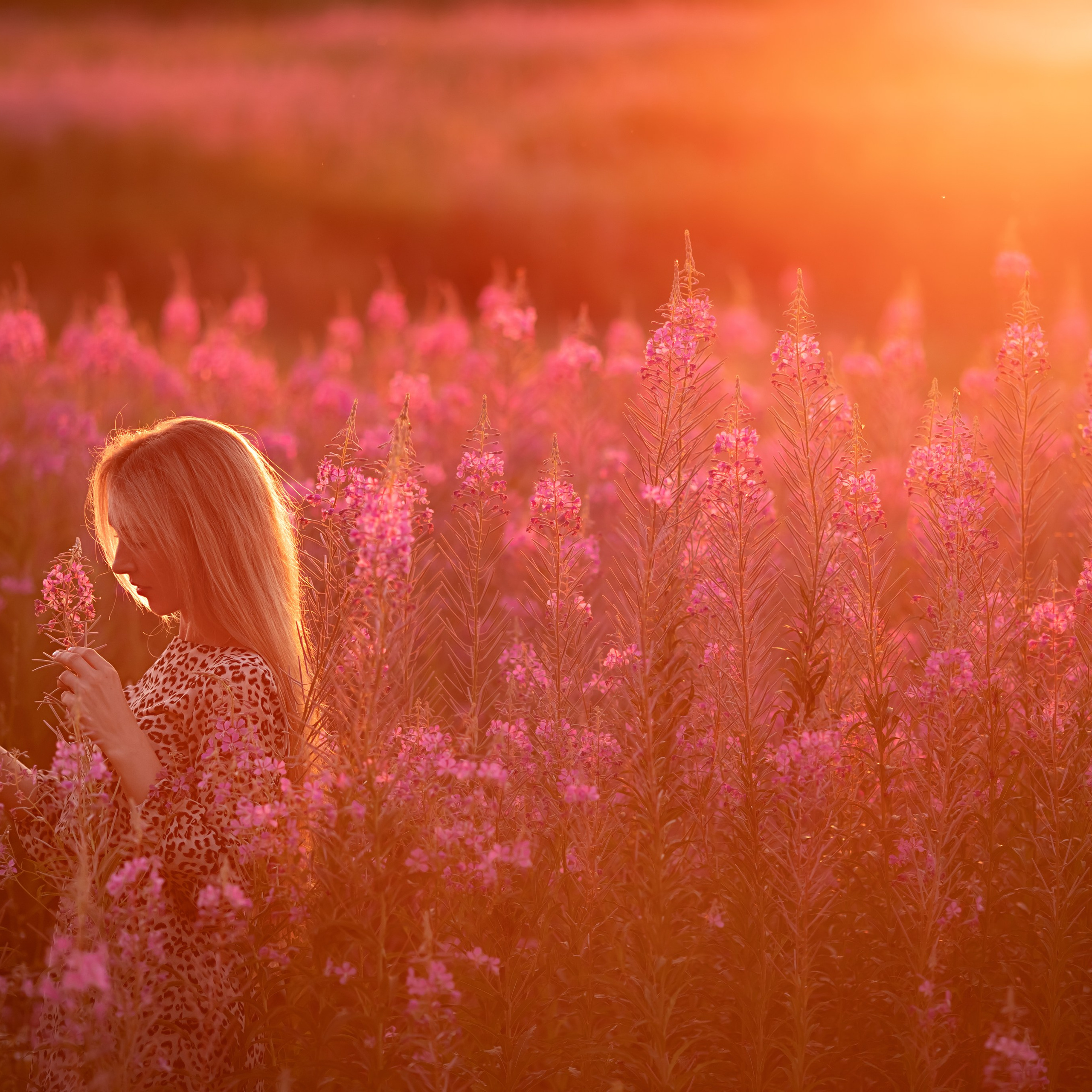 Все цветы для Дарьи на закате
