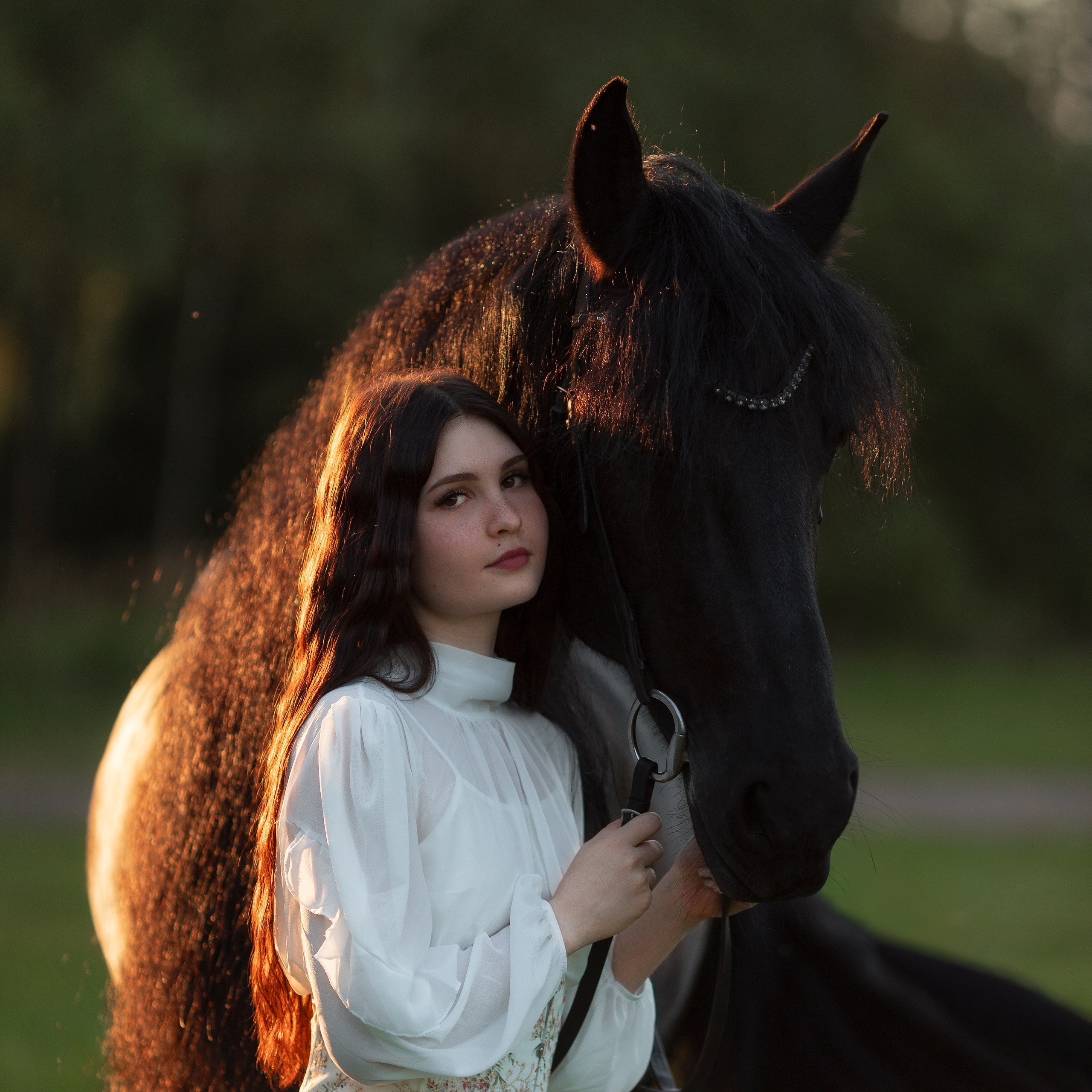 Фотосессия с лошадьми на закате