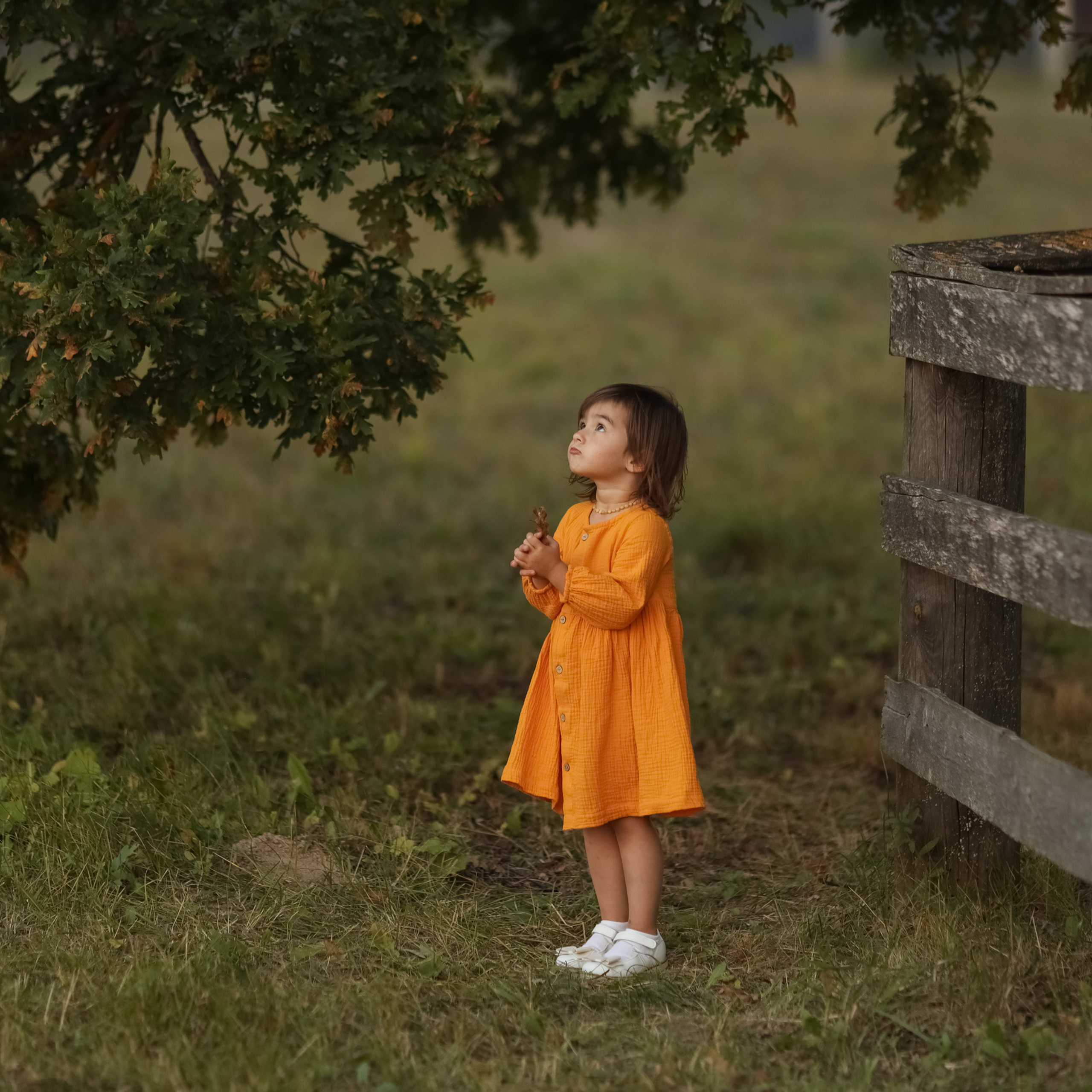 Отзывы. Детский и семейный фотограф Ирина Галкина, город Иваново