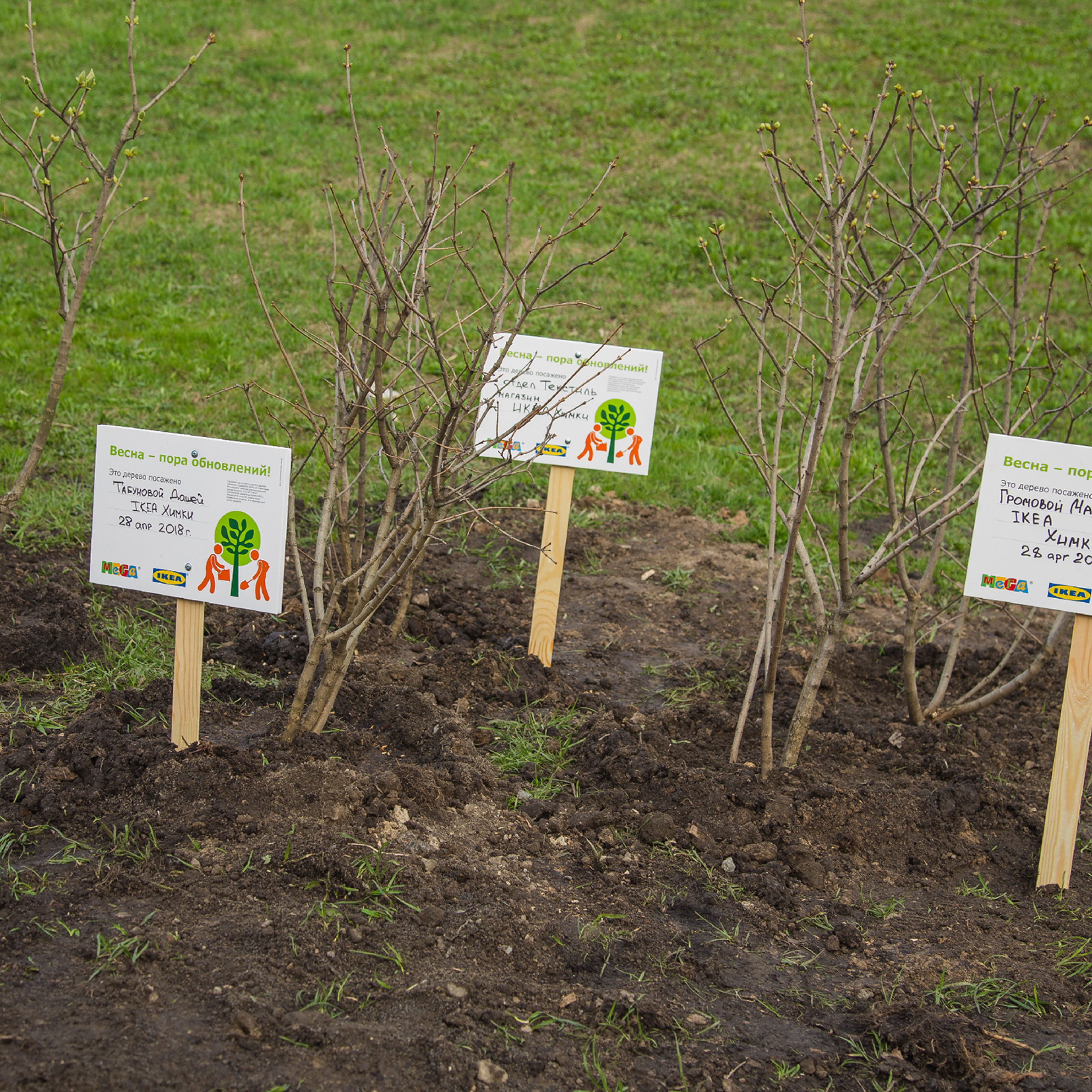 МЕГА Субботник