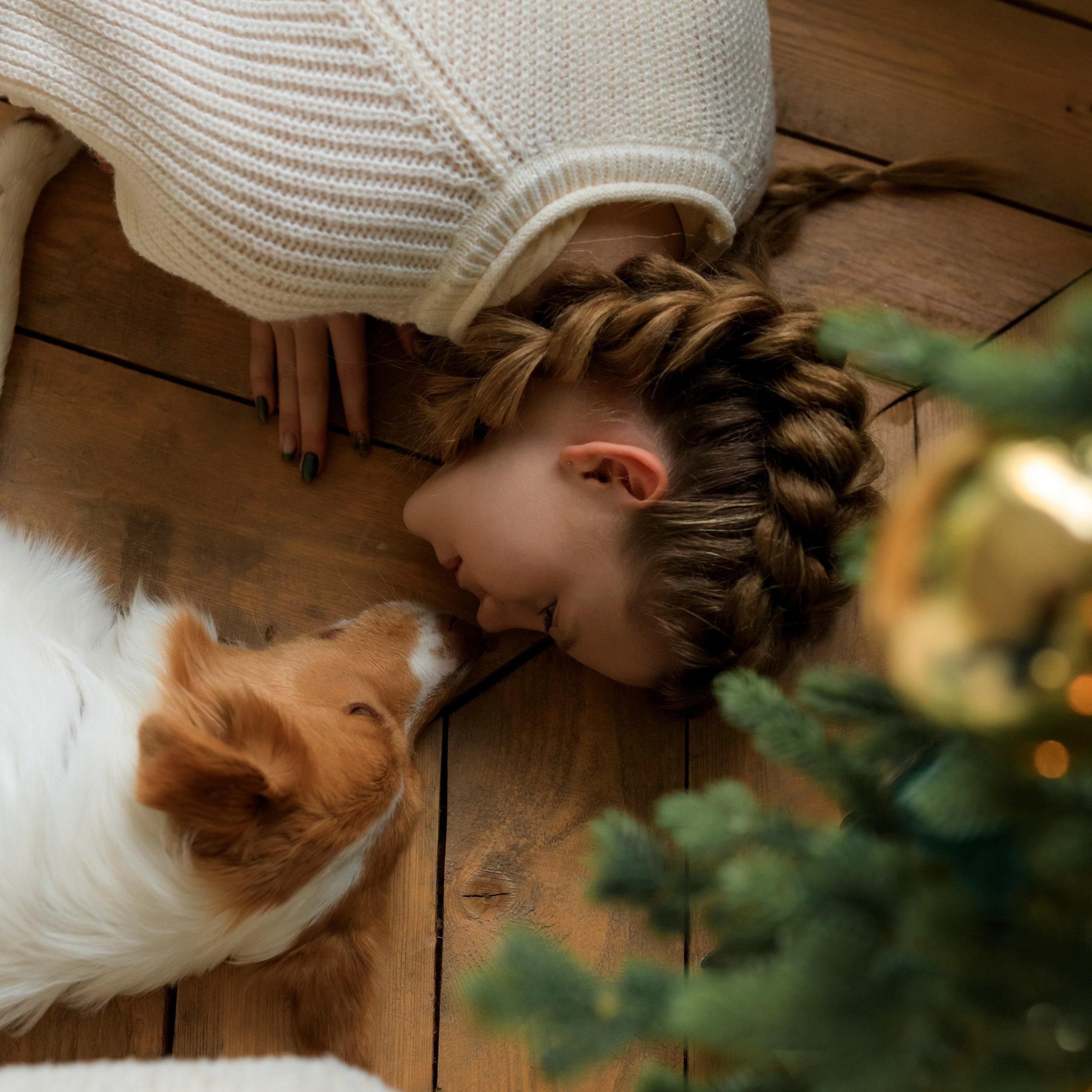 Девочка и собака (студийная)