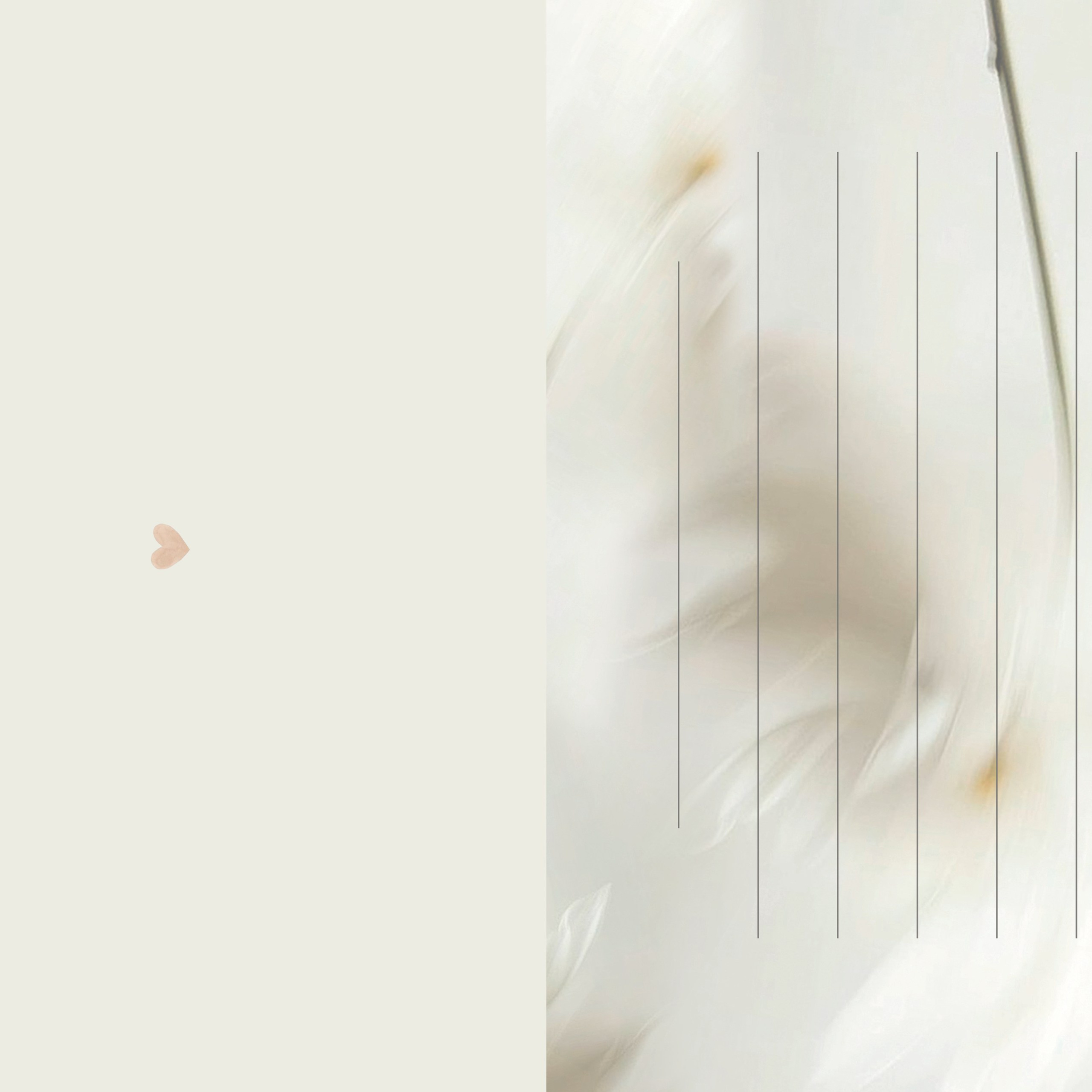 СЕРТИФИКАТ на сьемку. Семейный и детский фотограф в Калининграде Анна Каратай