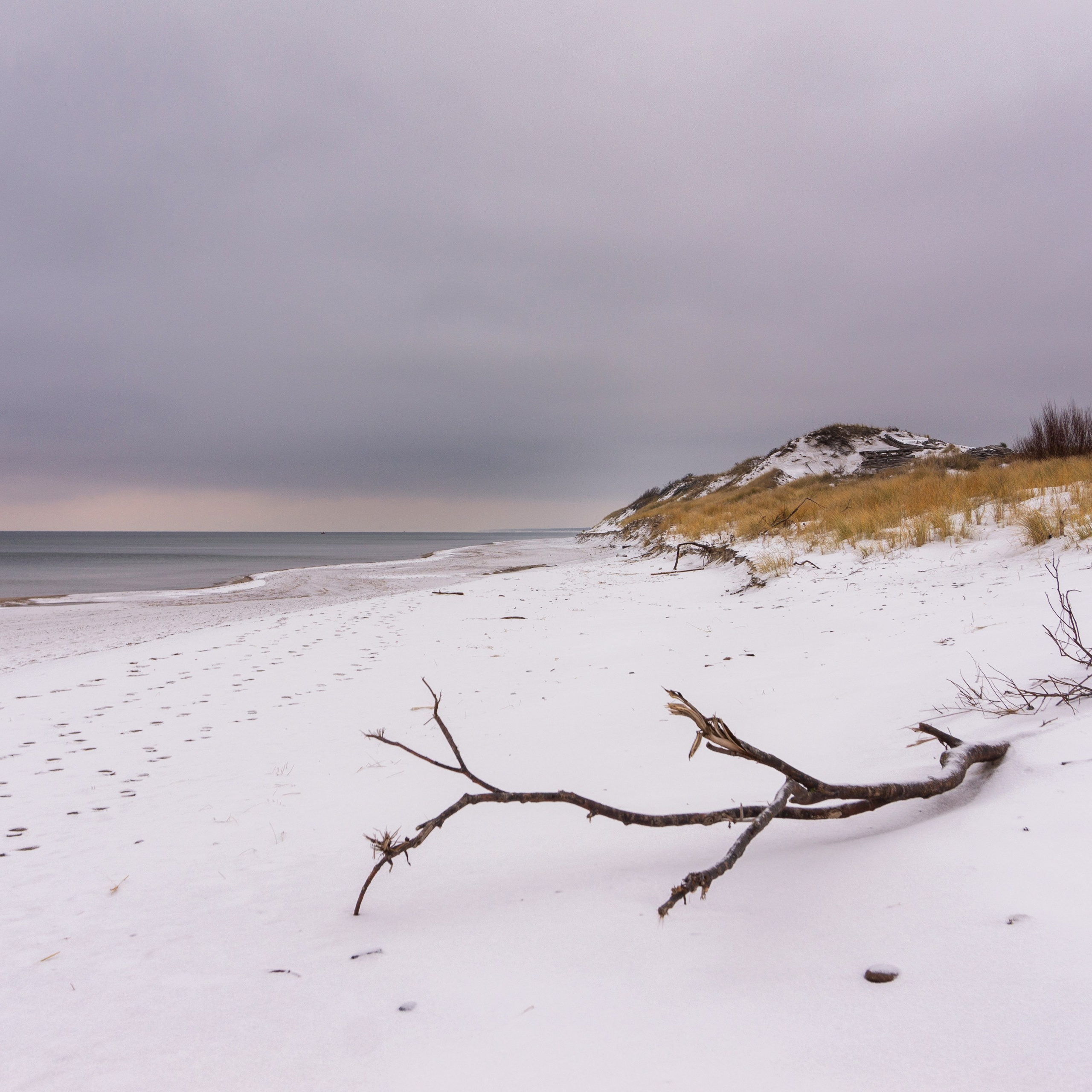 В поисках моря