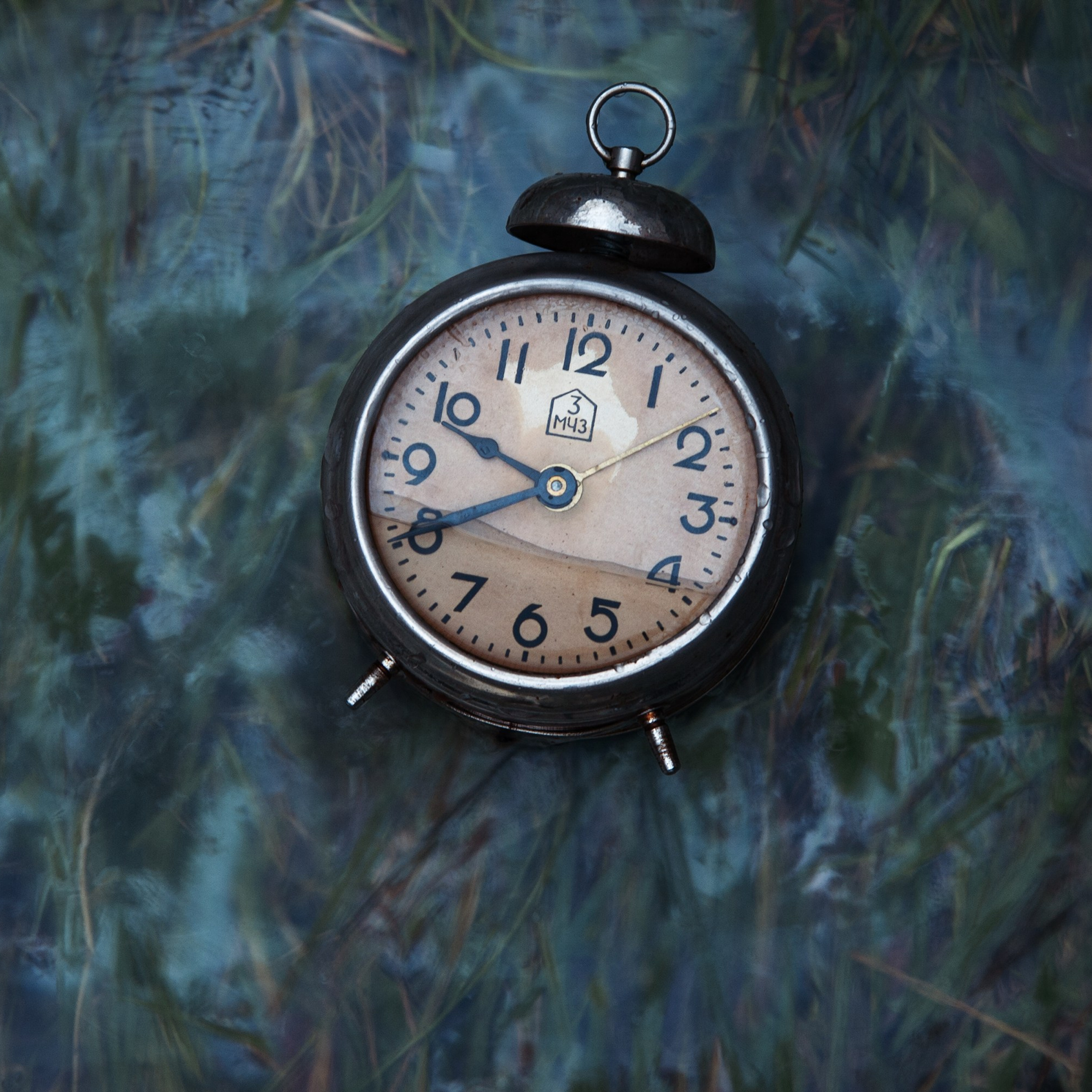 Родная кровь