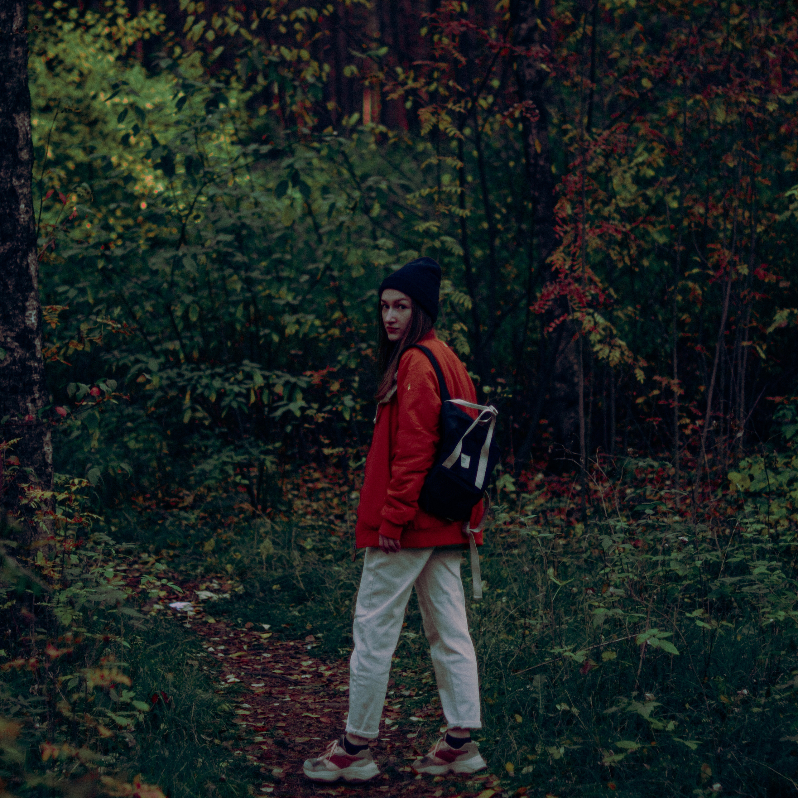 Осенний лес