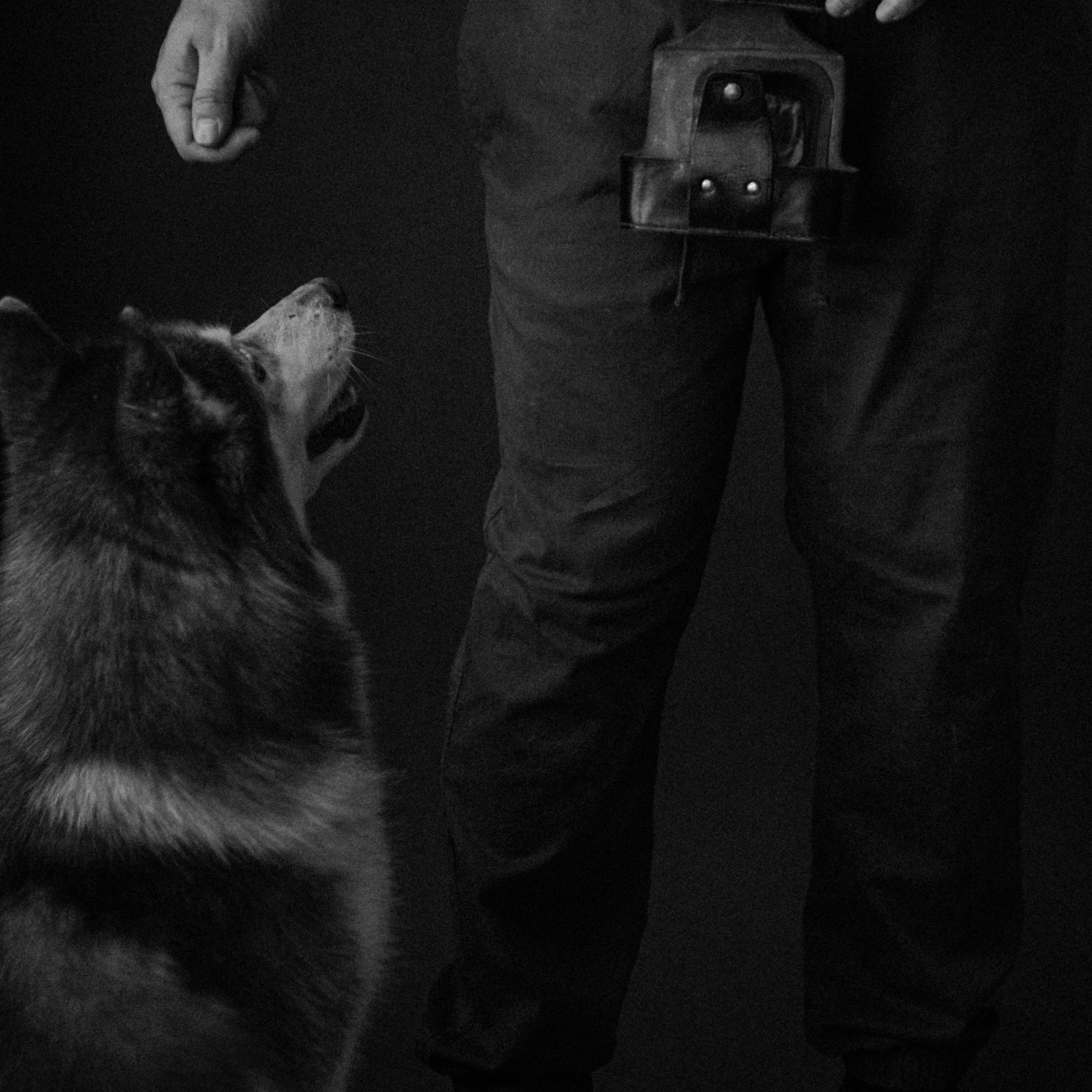 Андрей с пёселями