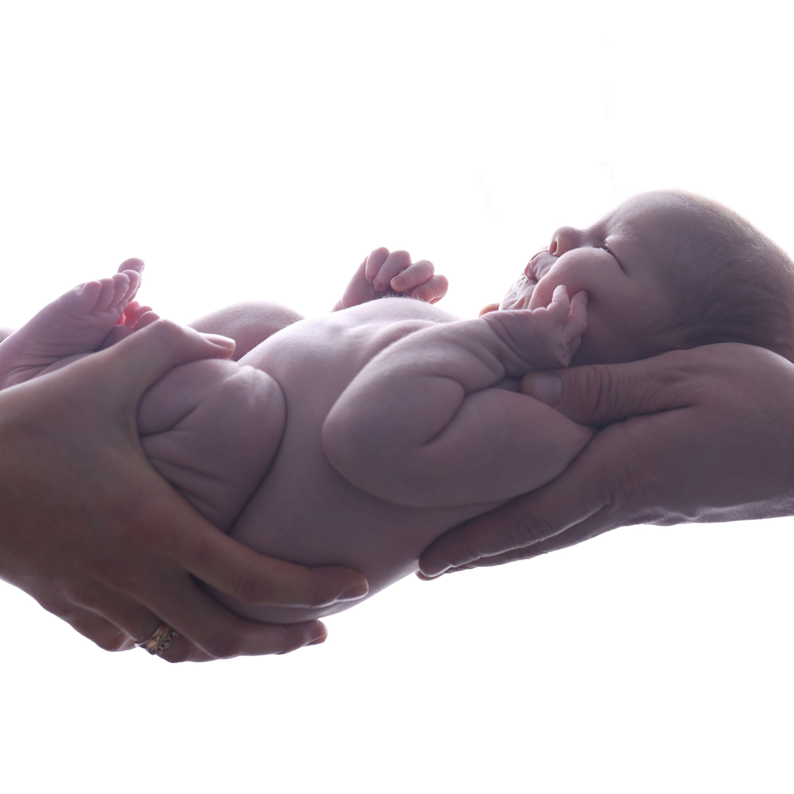 Отзывы. Фотограф новорожденных Модяева Ирина