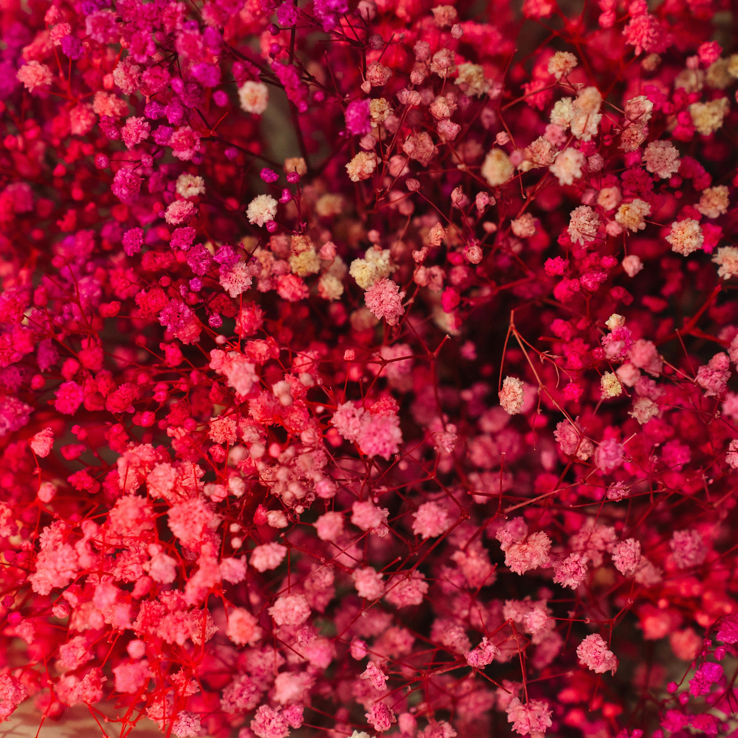 Отзывы. Фотограф в Воронеже Ольга Космодемьянская