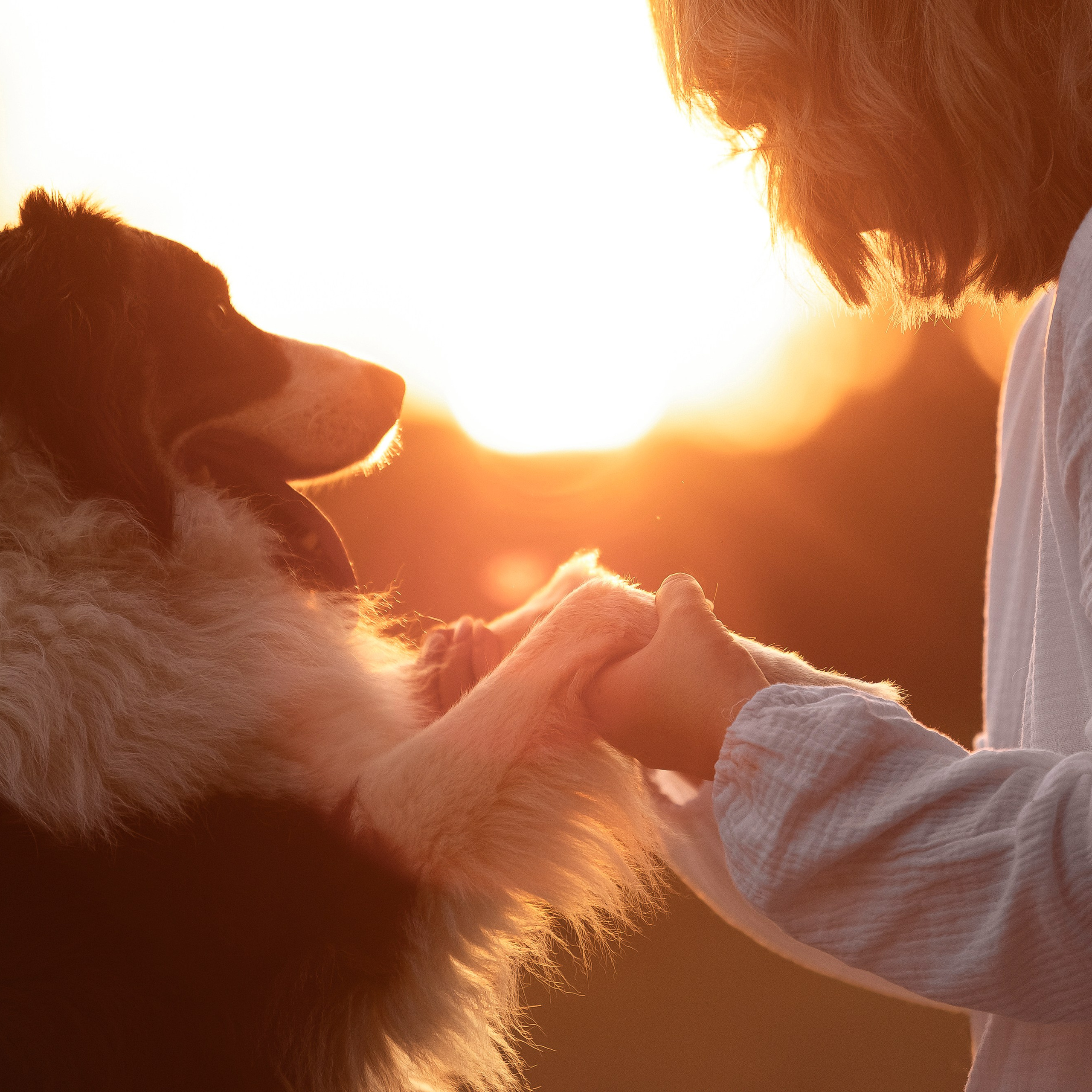 Вольт и Наташа