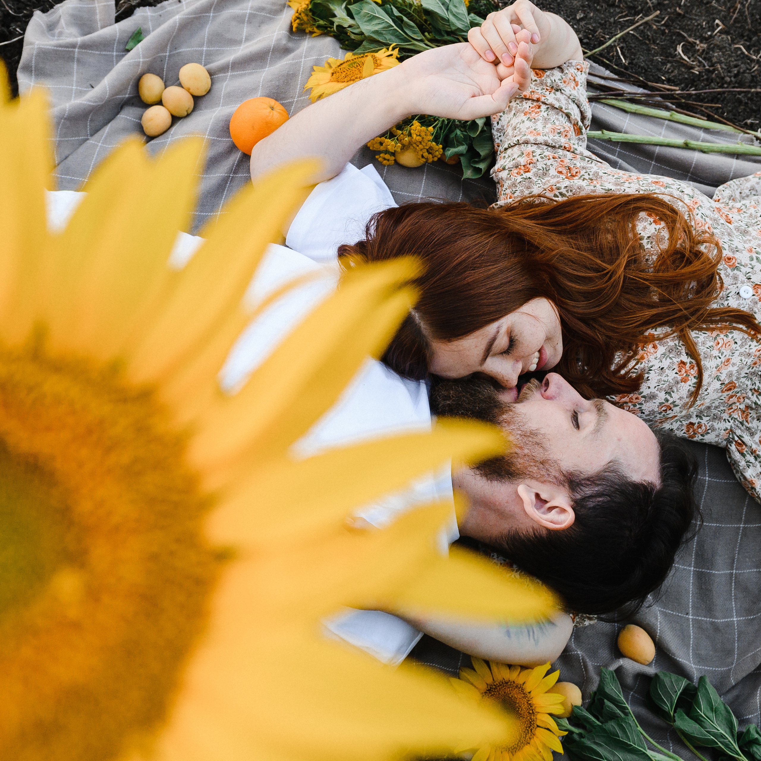 На закате в Подсолнухах