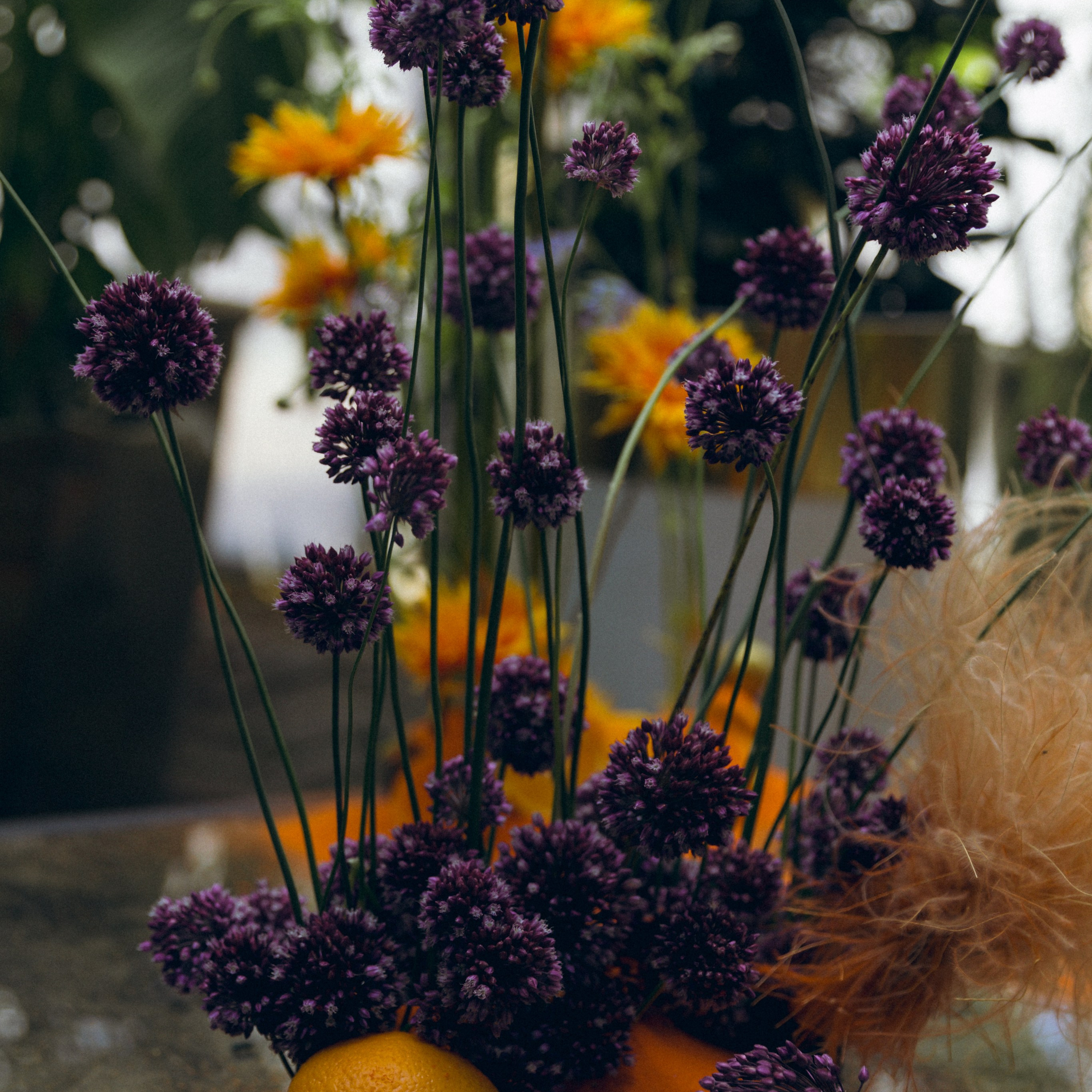 Ксения и Артур