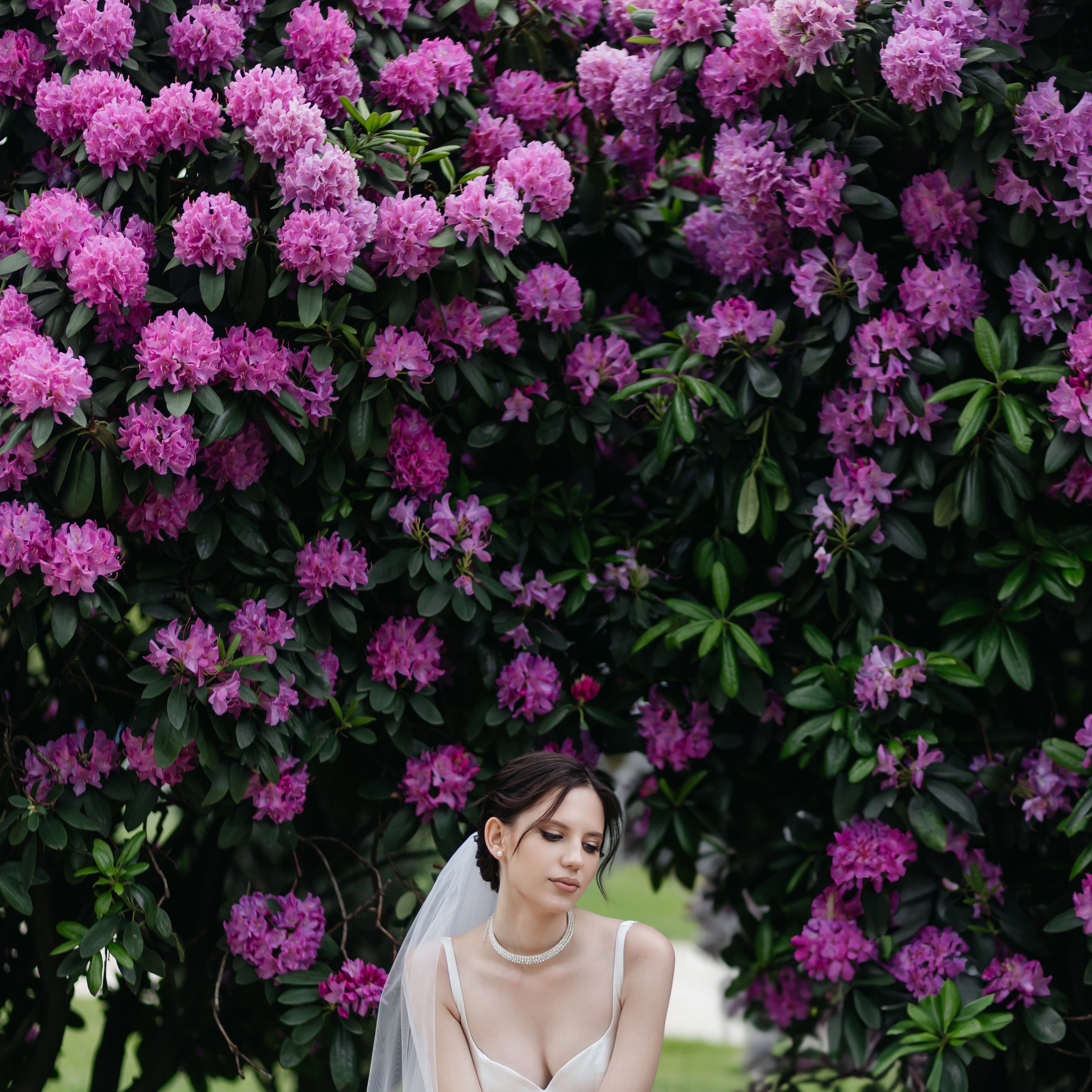 Отзывы. Свадебный  и семейный фотограф в Краснодаре