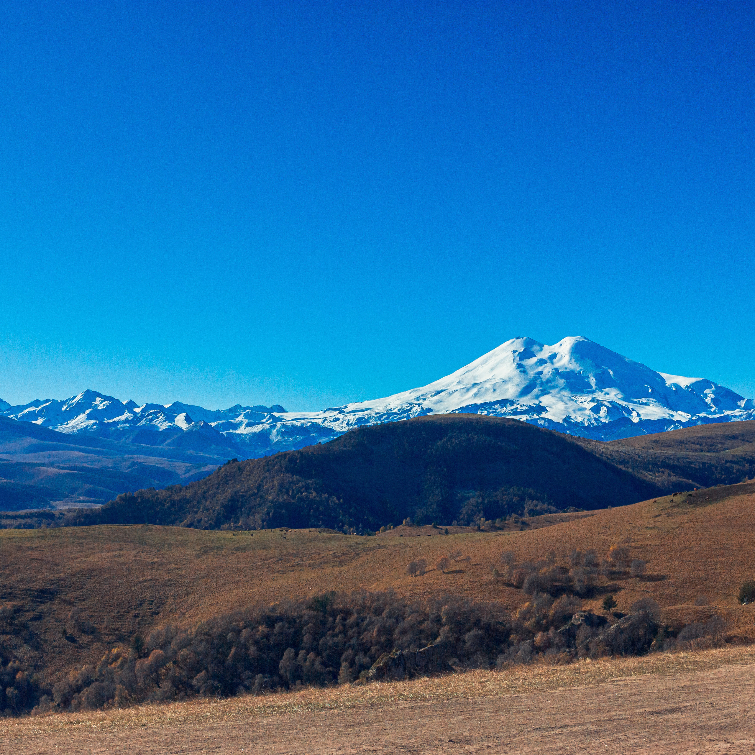 Отзывы. Фотограф в Ставрополе Евгений Наглянцев