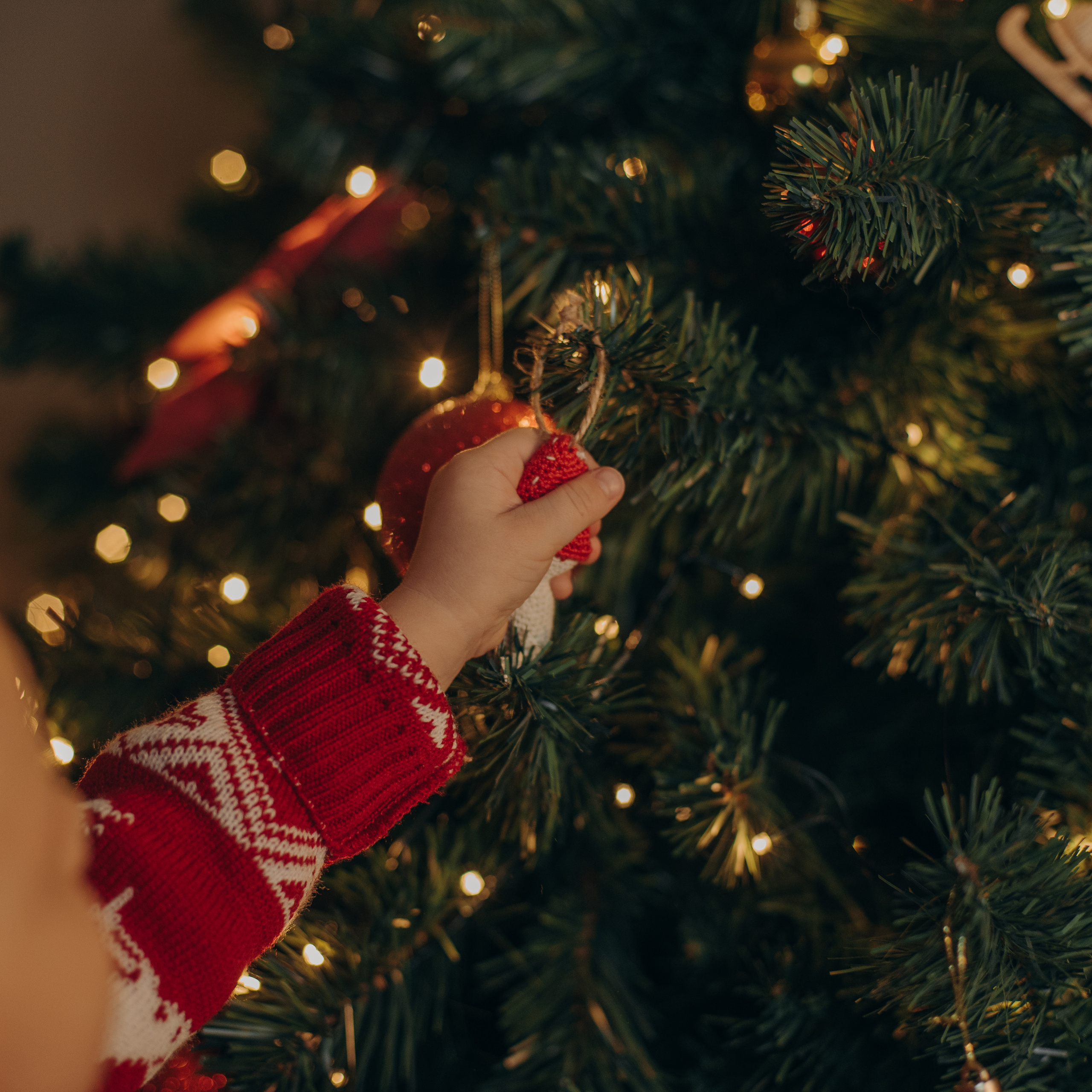 Отзывы. Семейный фотограф в Петрозаводске Ксения Крупская