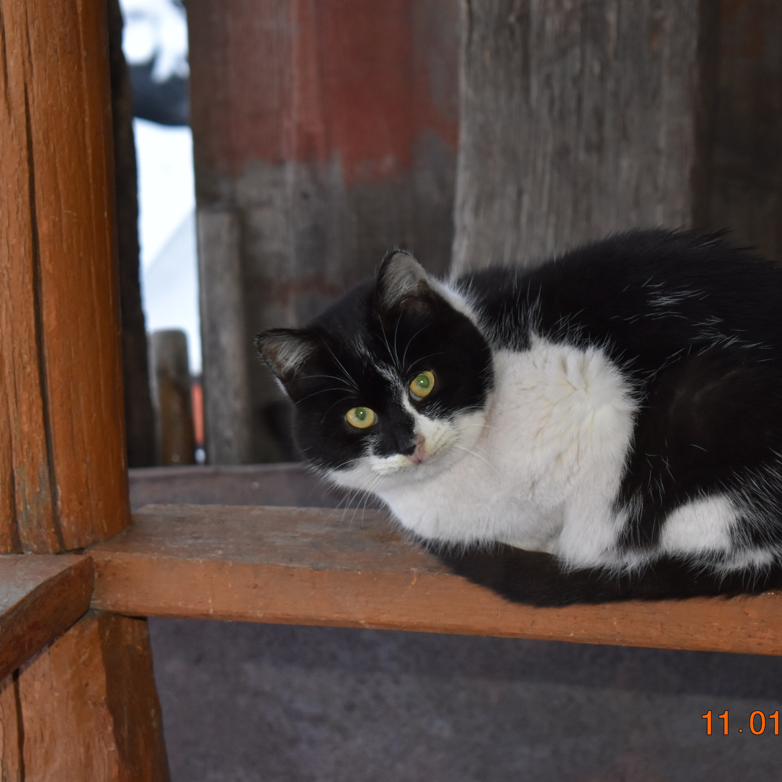 Все что тронуло, миниатюры.