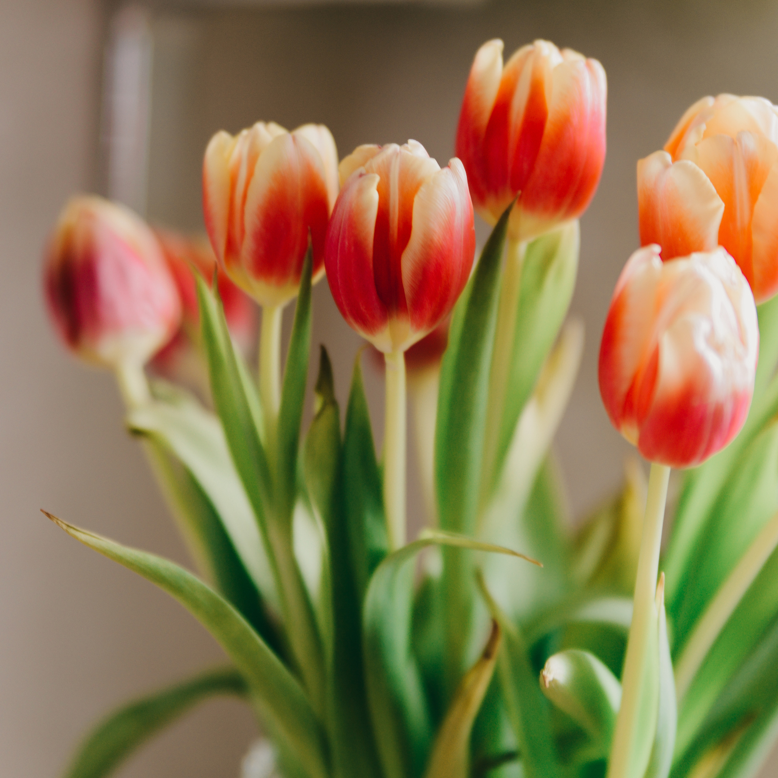 Отзывы. Свадебный и семейный фотограф Любава в Кургане