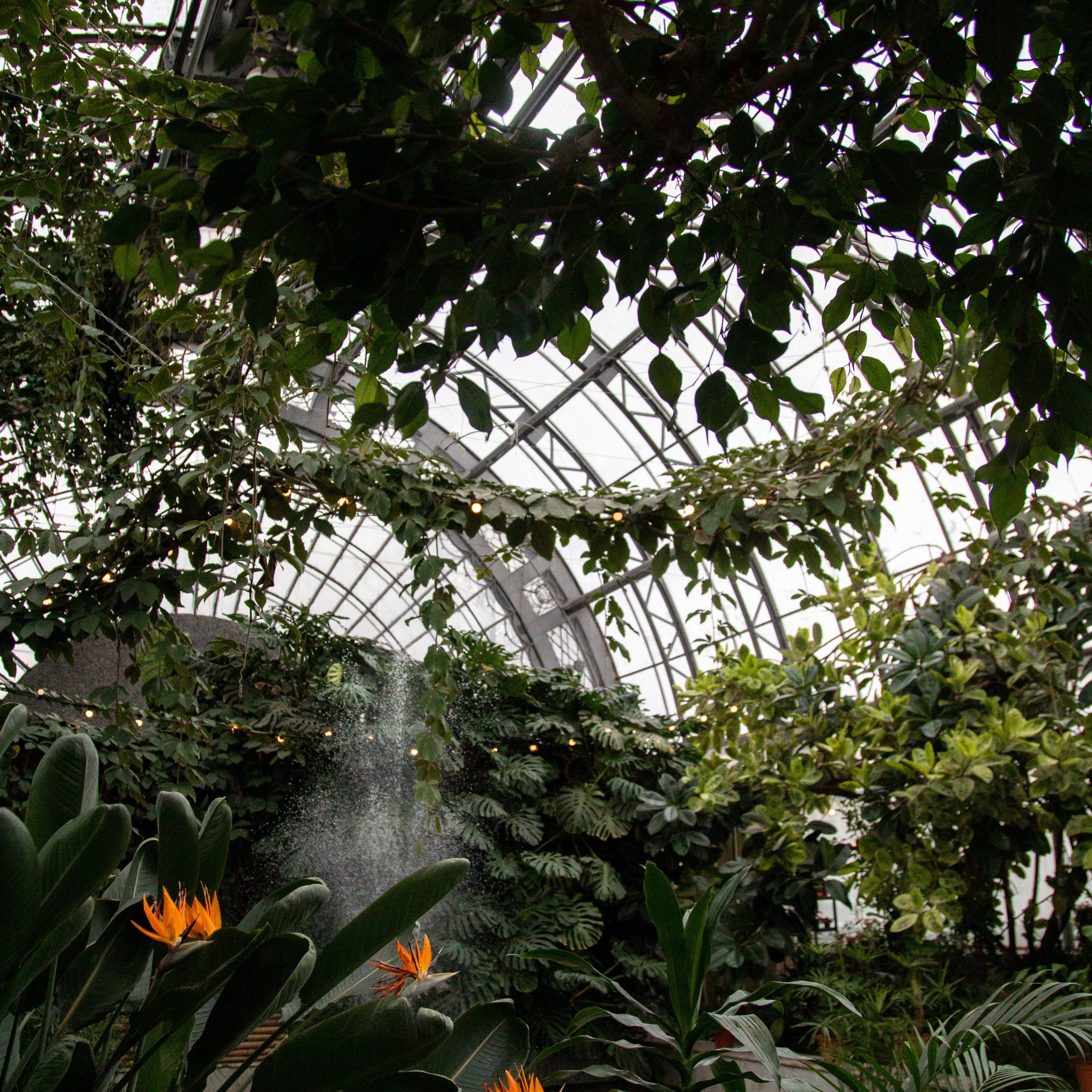 Ekaterina & Gennady. Свадебный и семейный фотограф в Санкт-Петербурге Максим Шарков