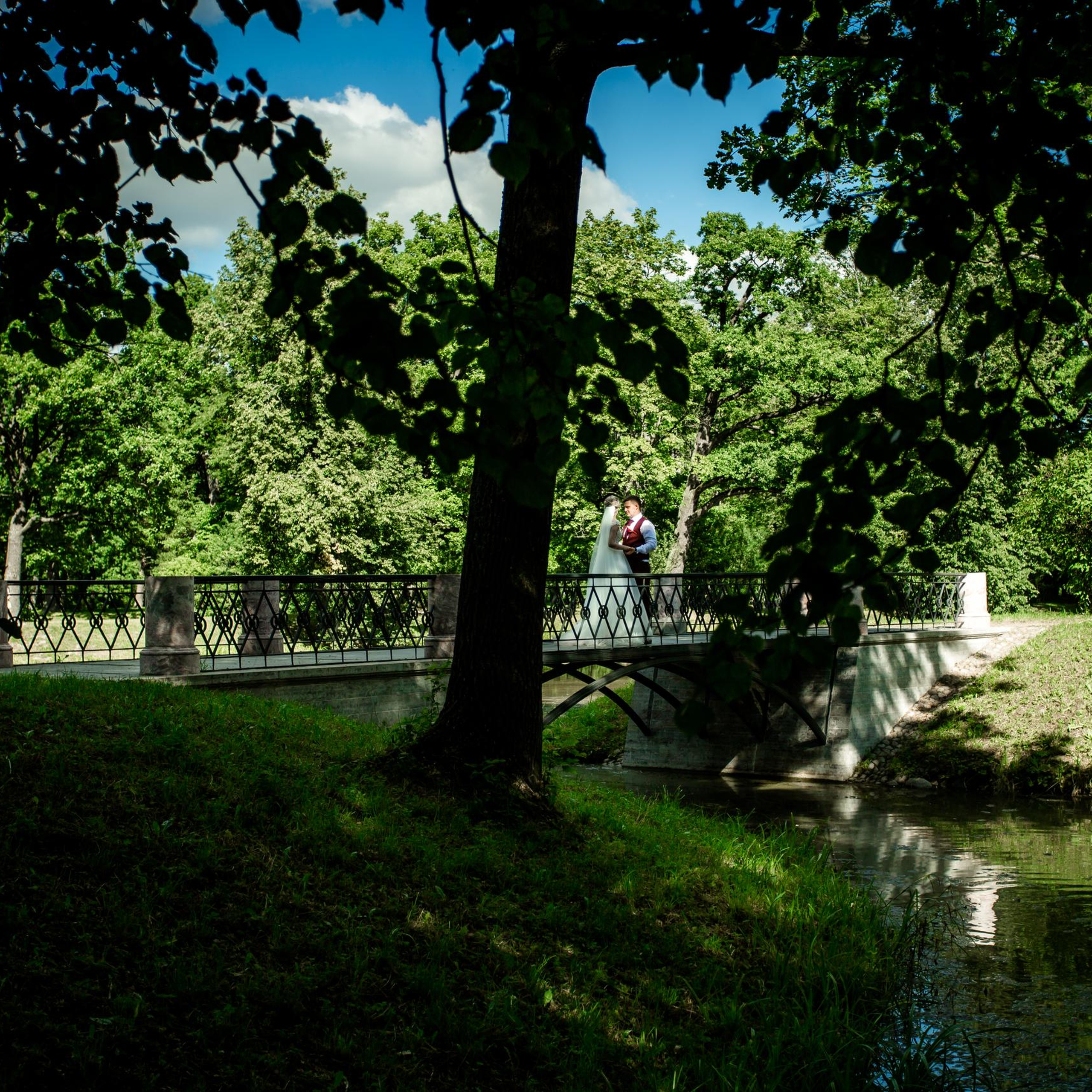 Anna & Timofey. Свадебный и семейный фотограф в Санкт-Петербурге Максим Шарков