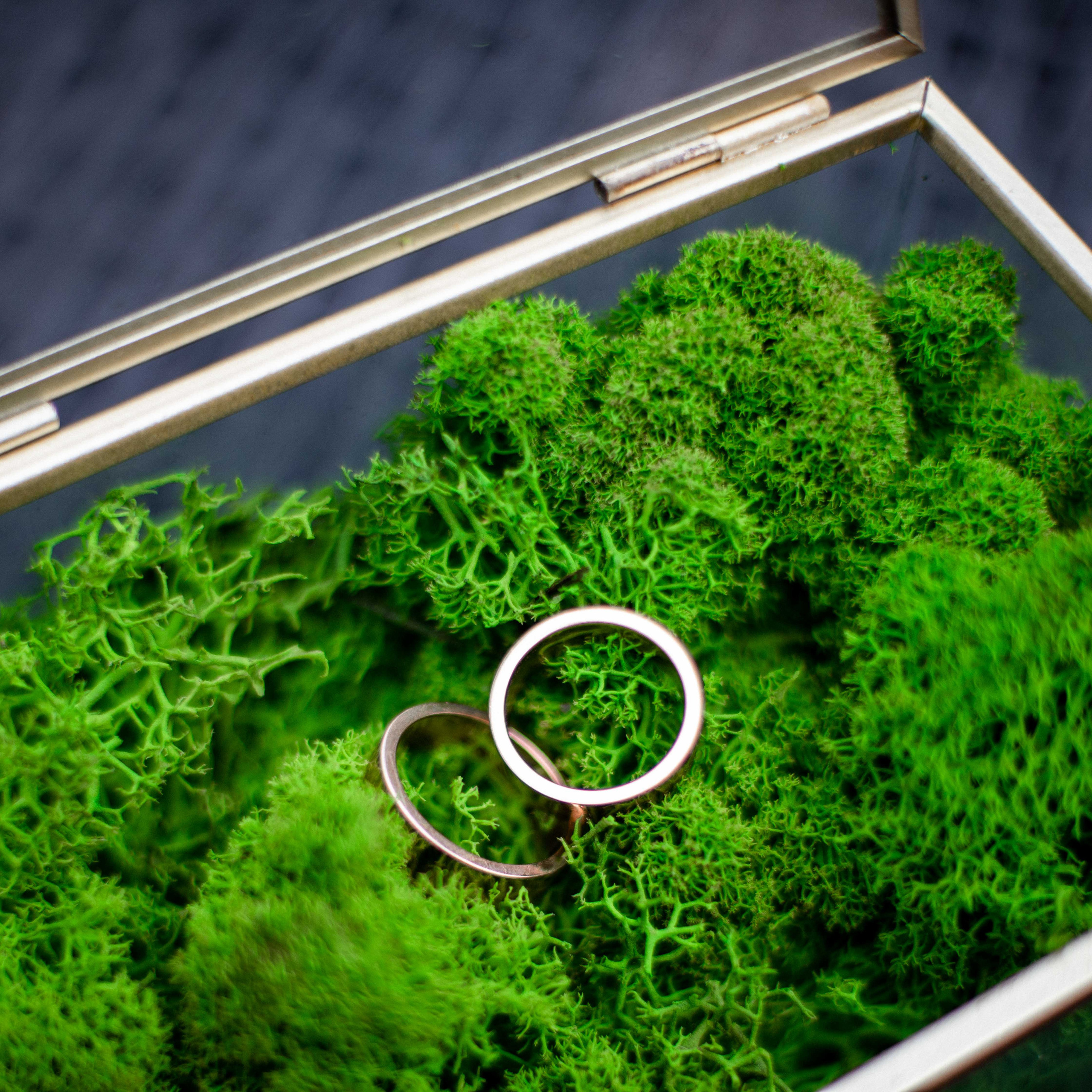 Anastasia & Ivan. Свадебный и семейный фотограф в Санкт-Петербурге Максим Шарков