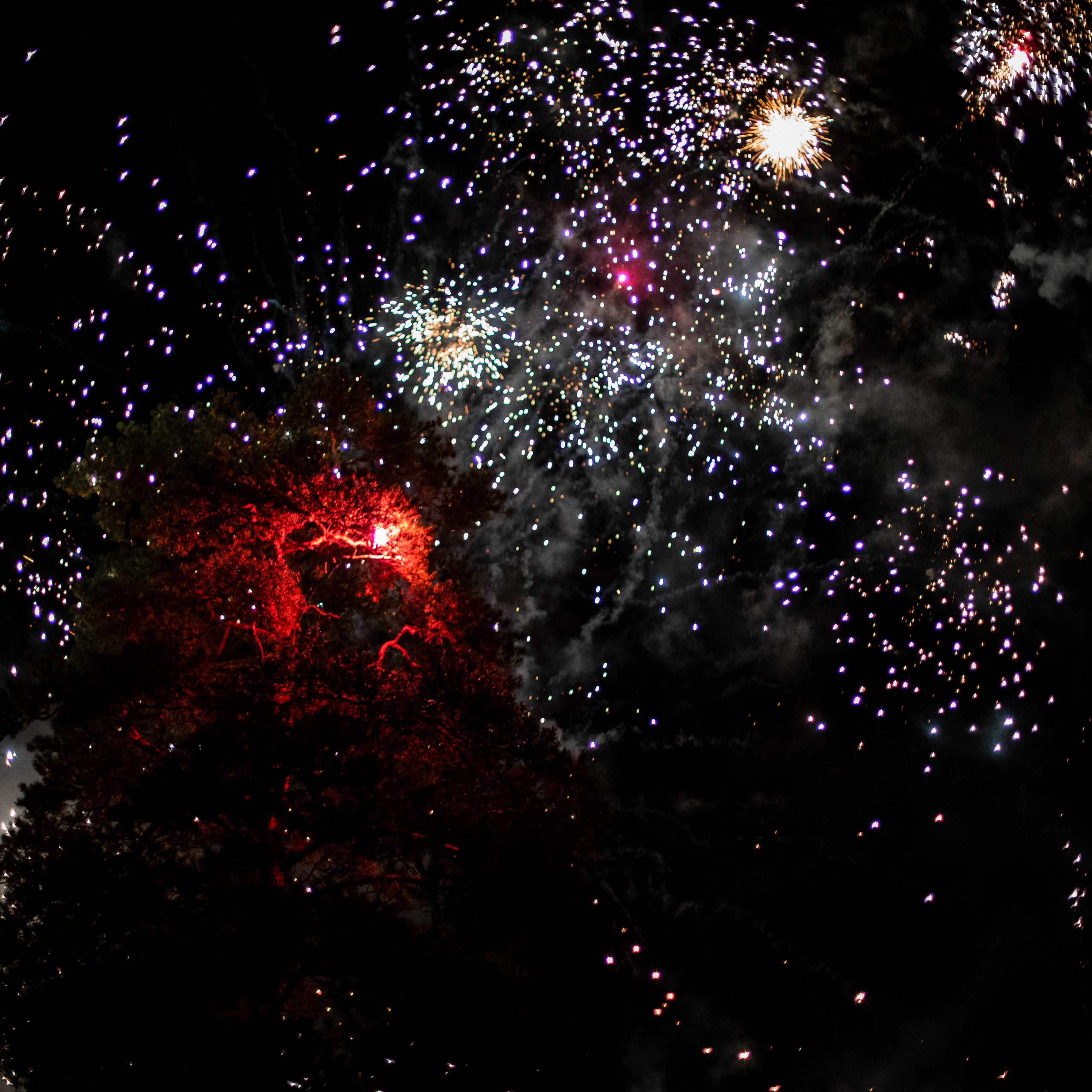 Anastasia & Ivan. Свадебный и семейный фотограф в Санкт-Петербурге Максим Шарков