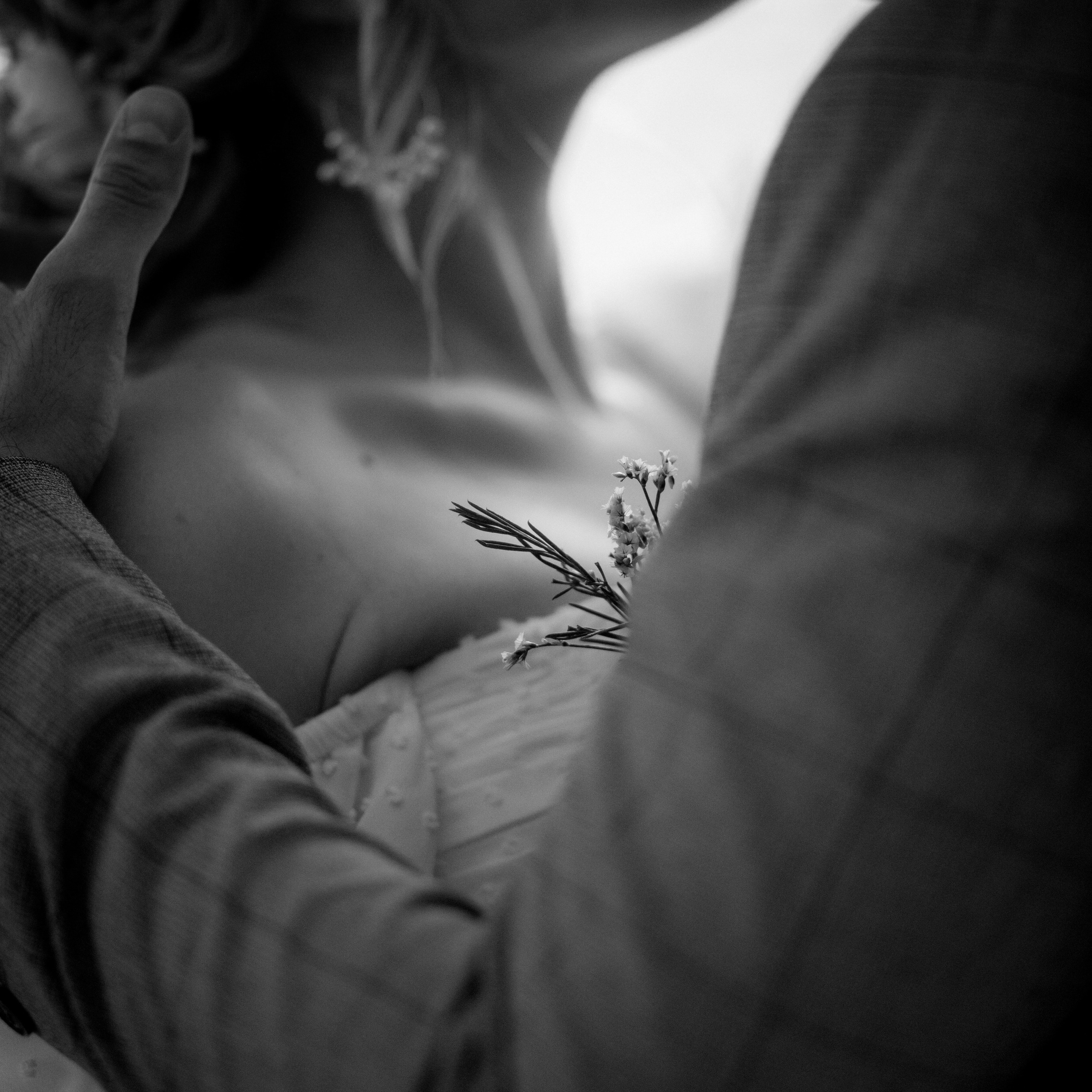 Valentina & Arkady. Свадебный и семейный фотограф в Санкт-Петербурге Максим Шарков