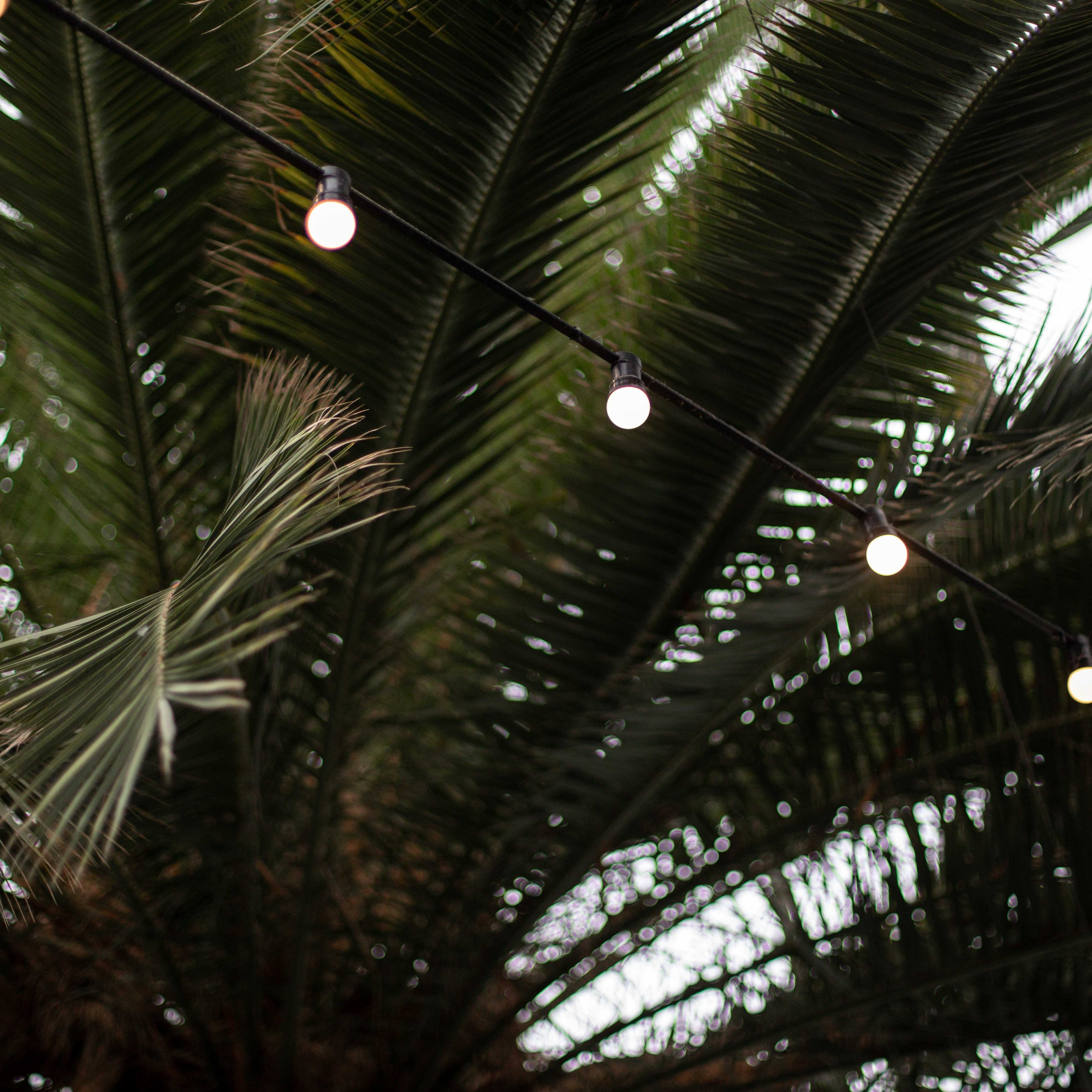 Ekaterina & Gennady. Свадебный и семейный фотограф в Санкт-Петербурге Максим Шарков