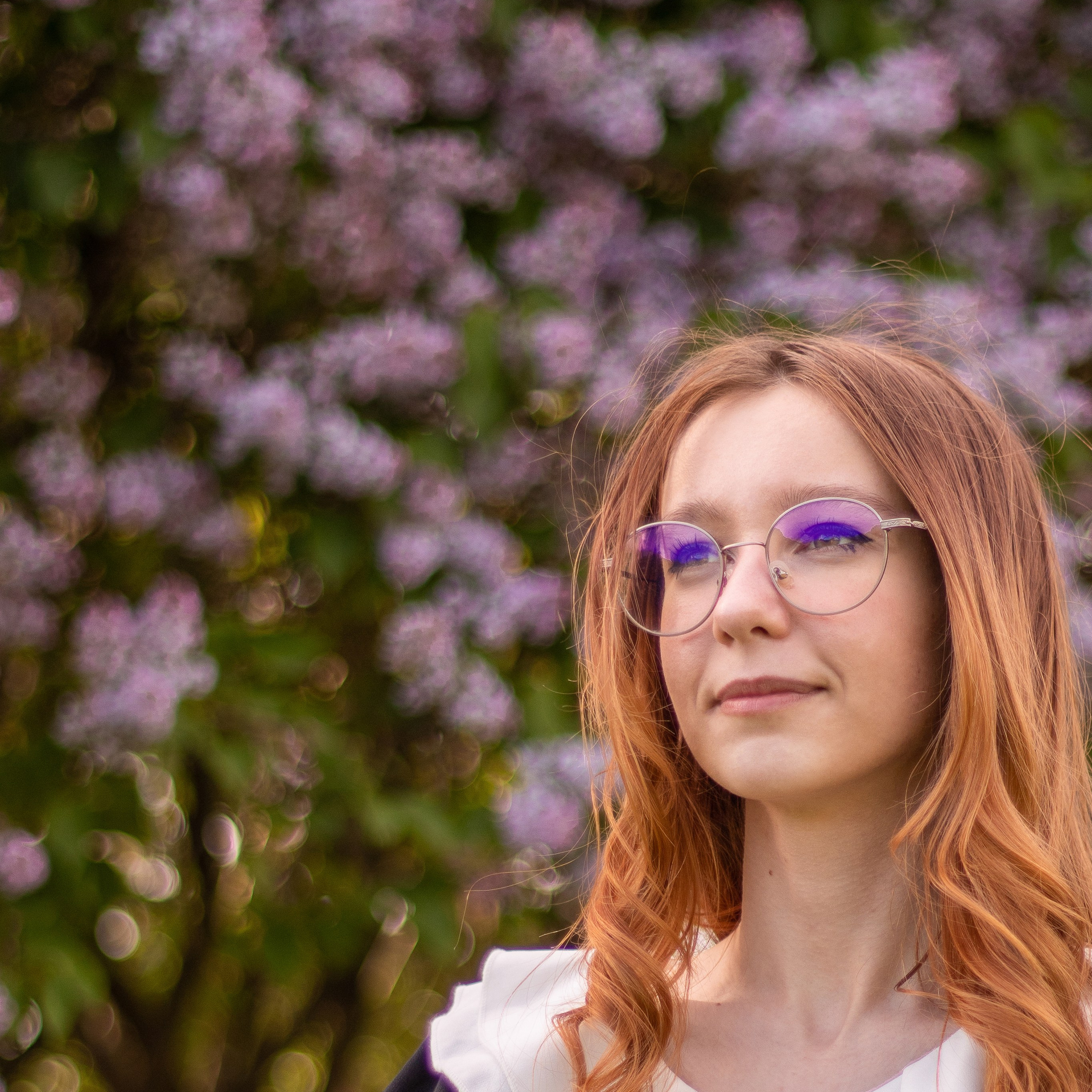 Цветение сирени, Санкт-Петербург 2022