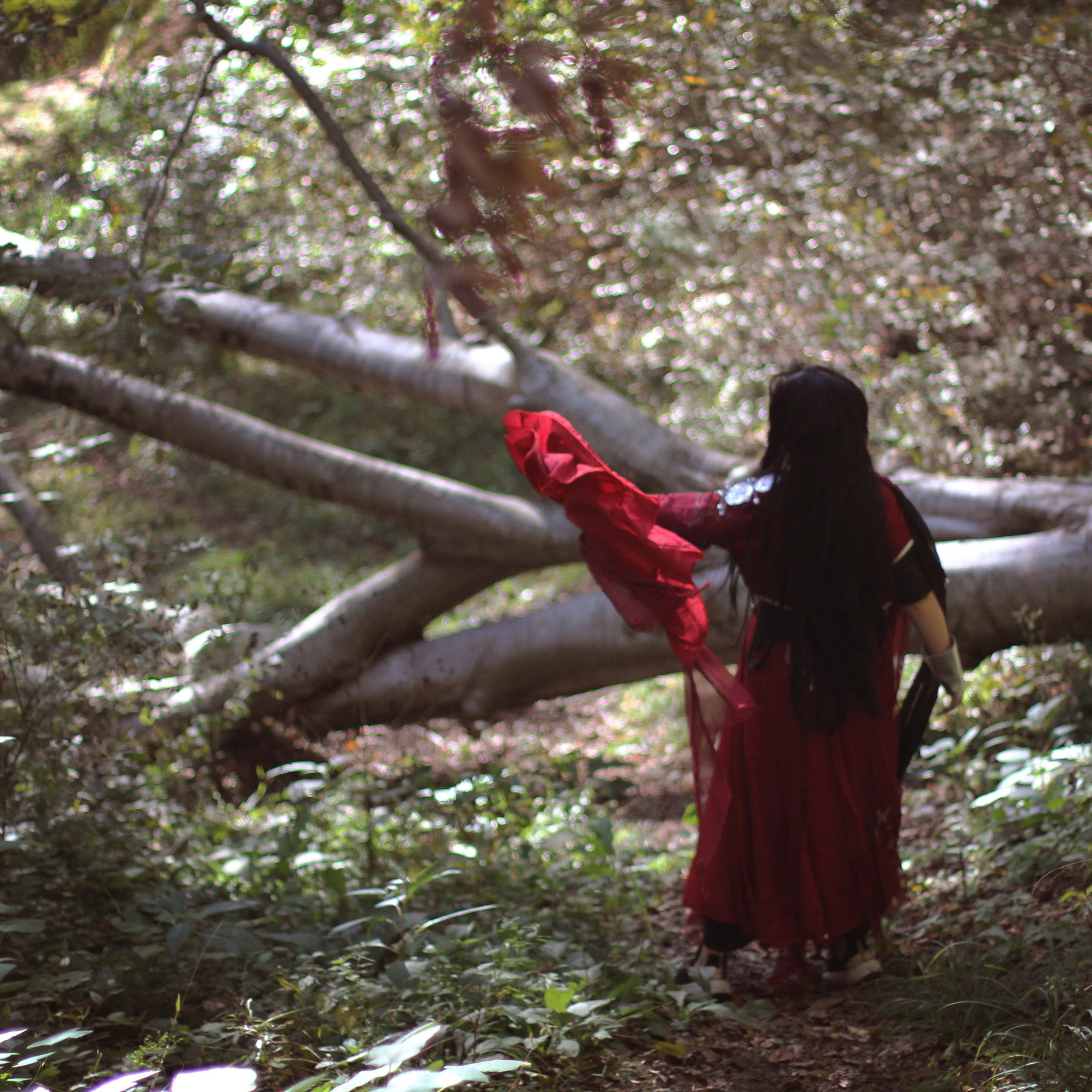 Hua Cheng │ Heaven Official's Blessing