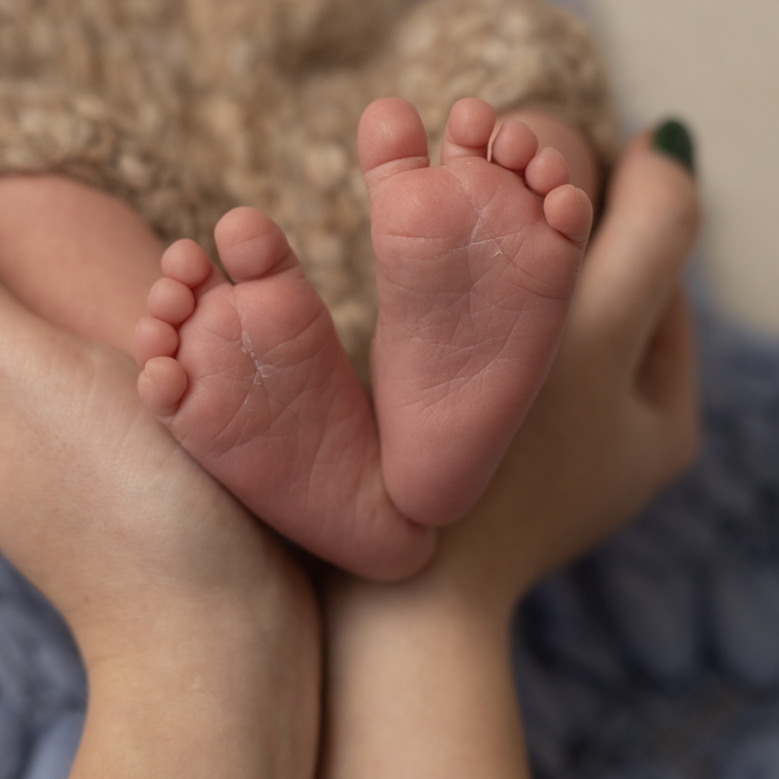 Отзывы. Фотограф новорожденных Химки, Красногорск, Мытищи и Москва Елена Третьяк