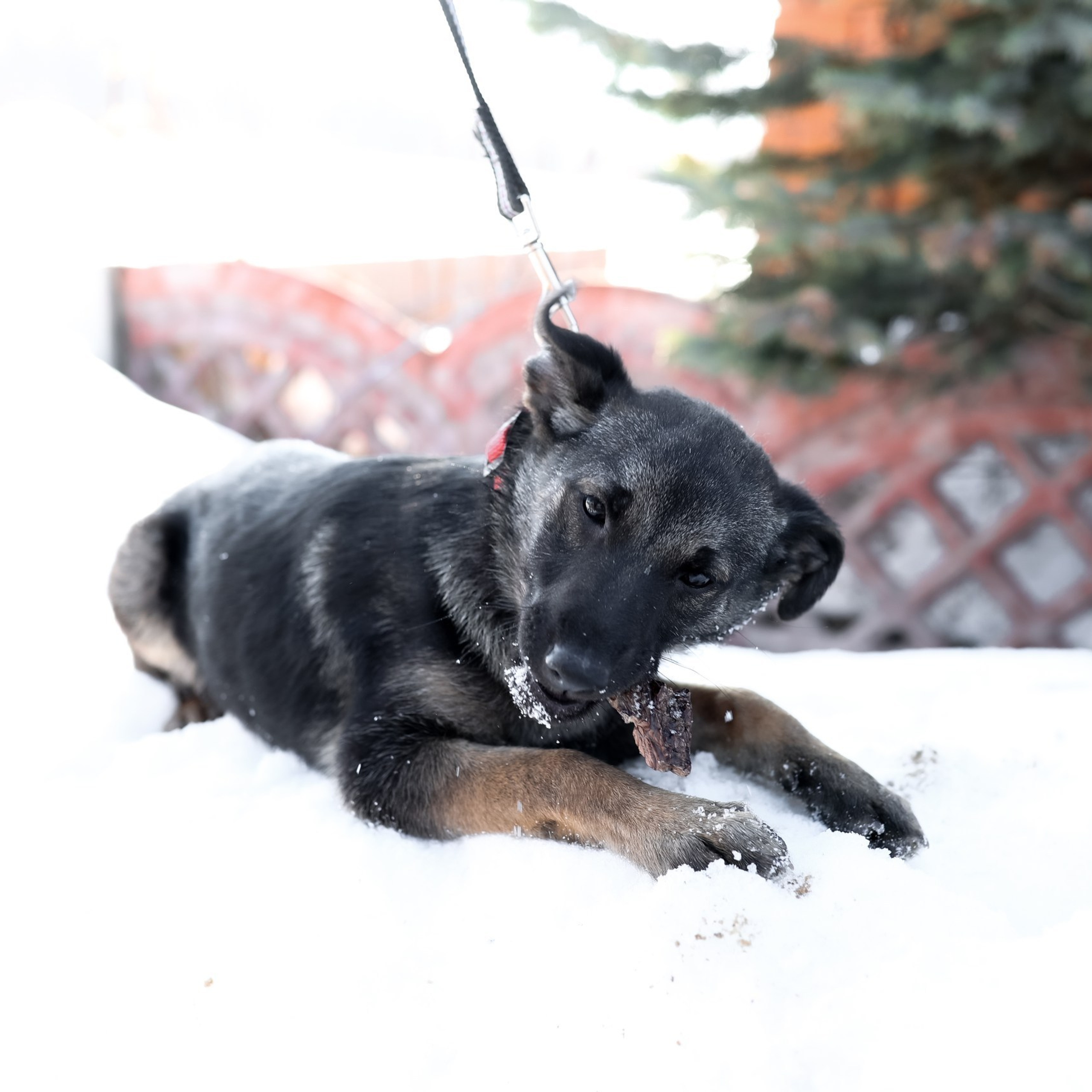 Отзывы. Фотограф на крещение- венчание.Свадебный и семейный фотограф в Липецке Алена Данильченко