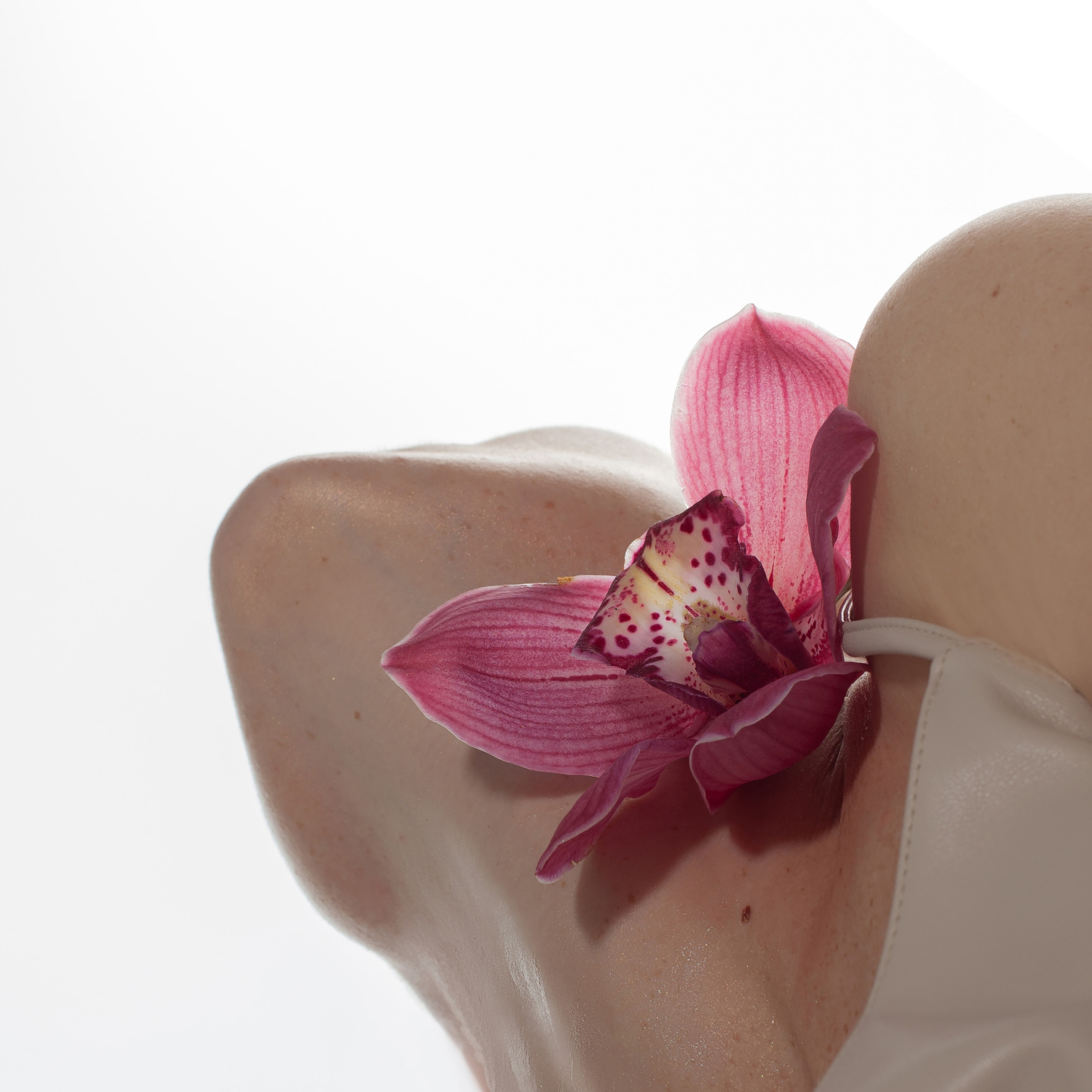 Orchid. Художественный фотограф Екатерина Серова