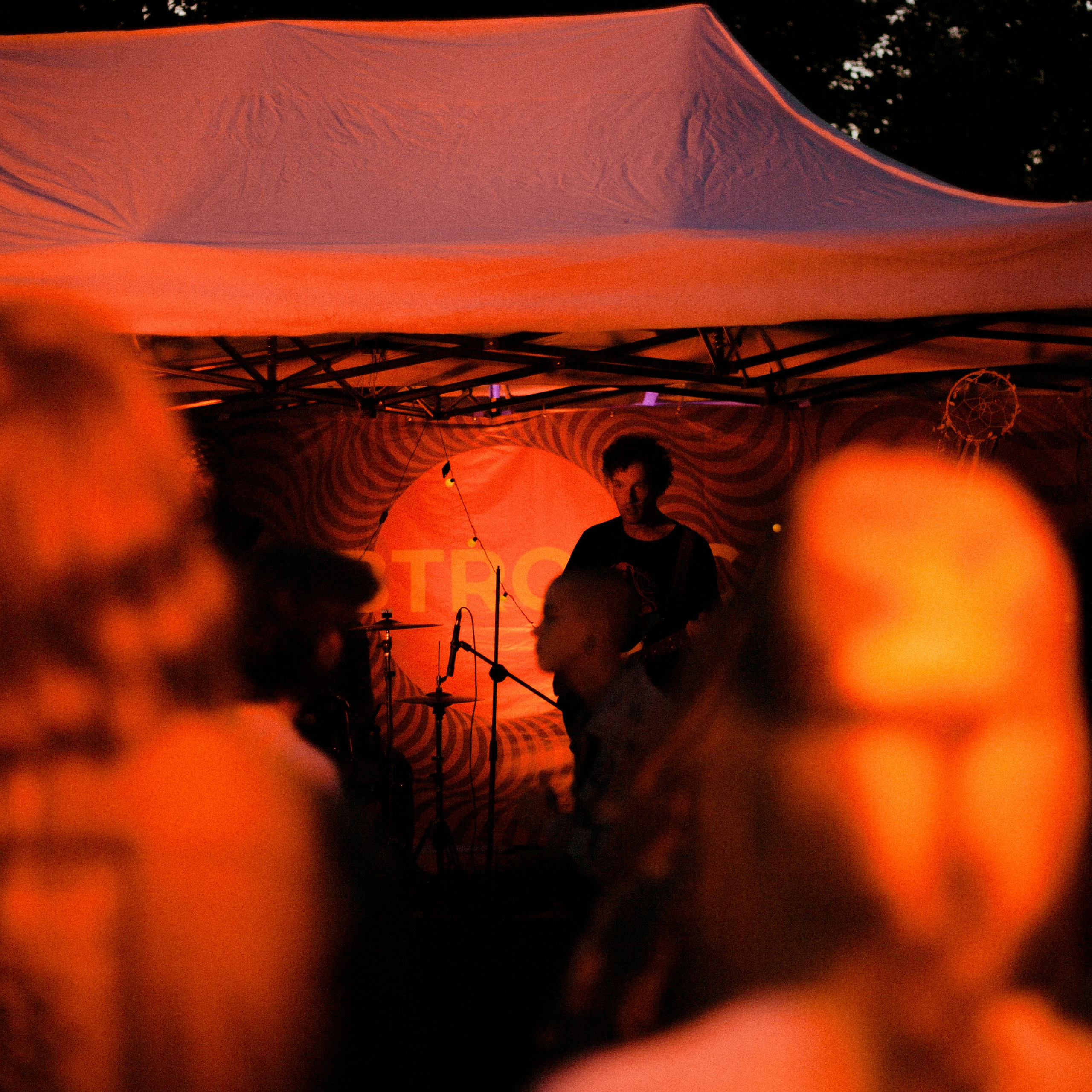 Subtropica. Художественный фотограф Екатерина Серова