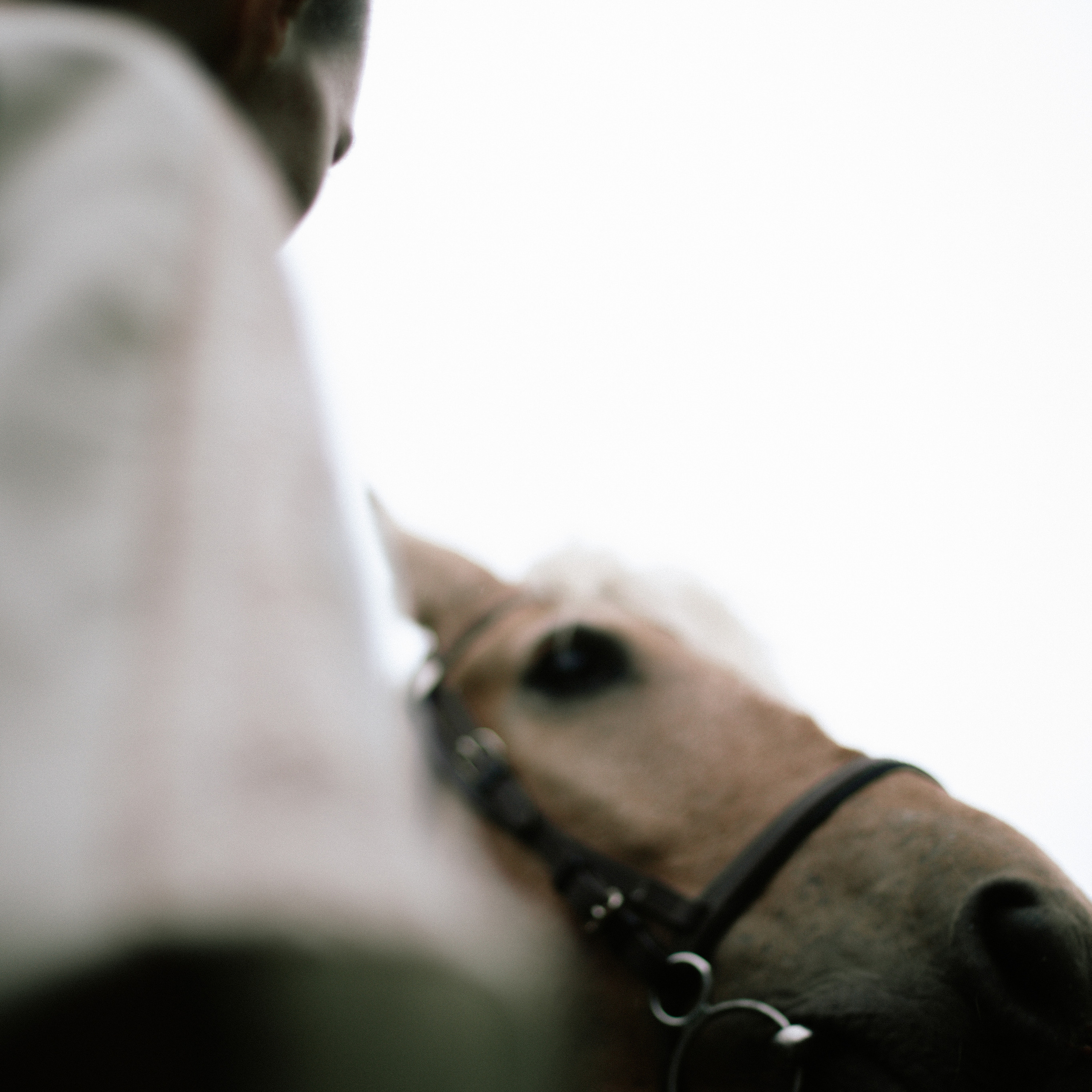 Таня и Купер. Художественный фотограф Екатерина Серова