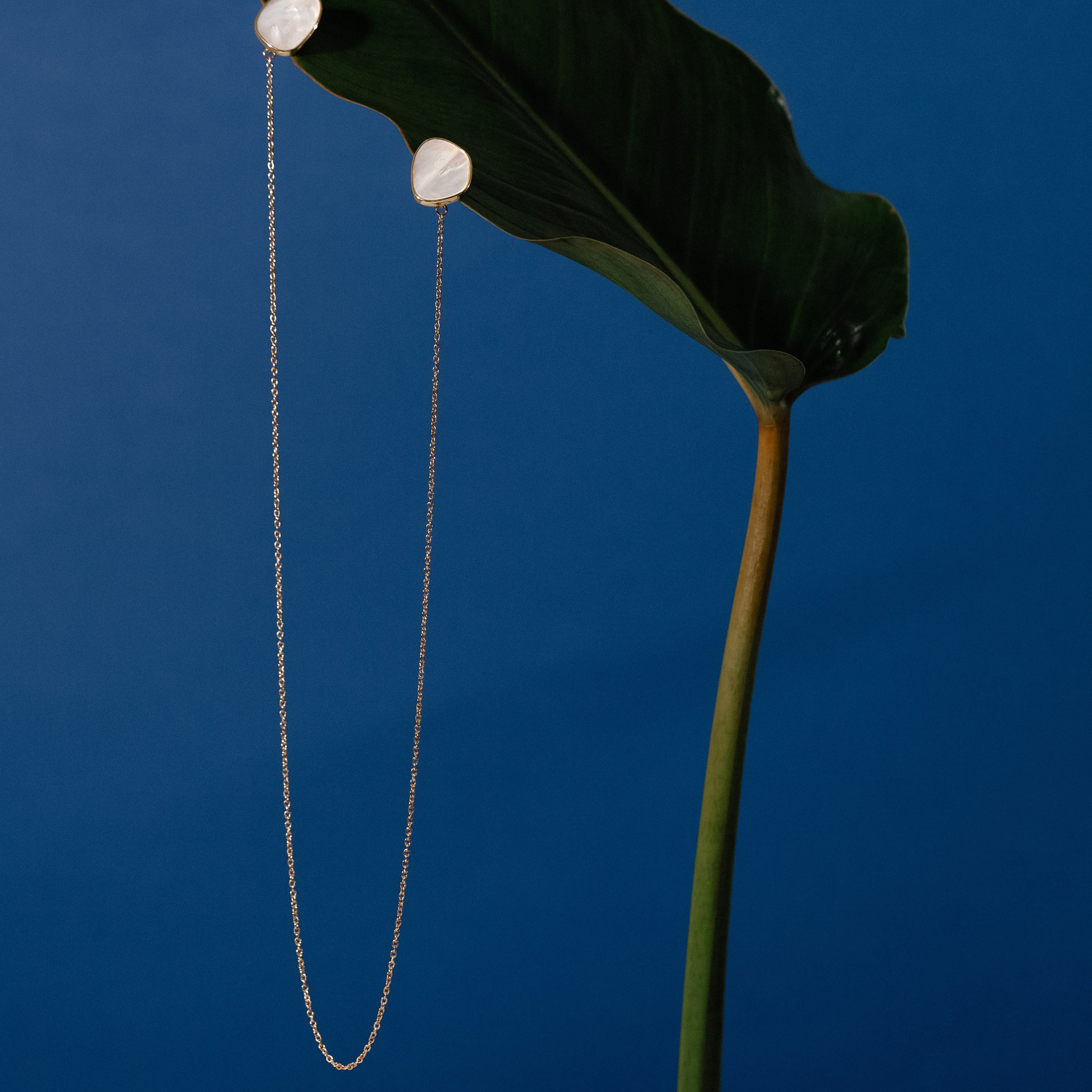 Украшения. Художественный фотограф Екатерина Серова