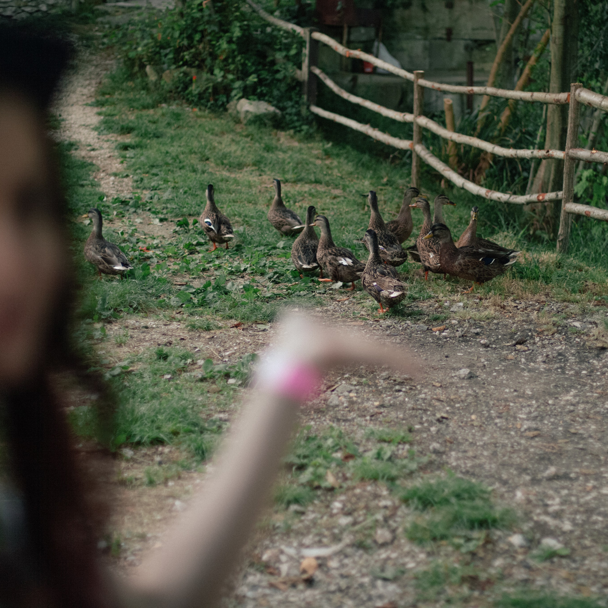 Subtropica. Художественный фотограф Екатерина Серова