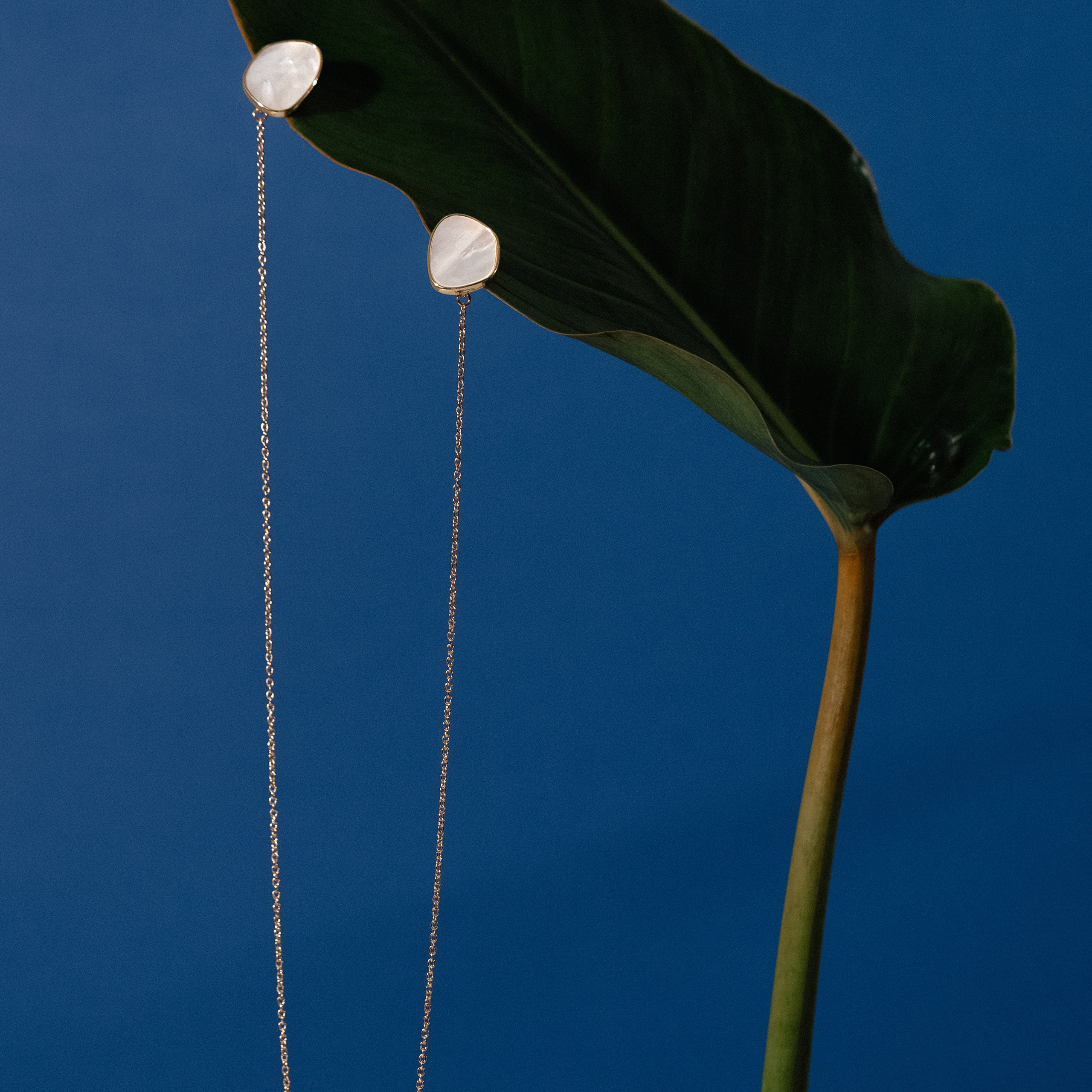 Предметная съёмка. Художественный фотограф Екатерина Серова