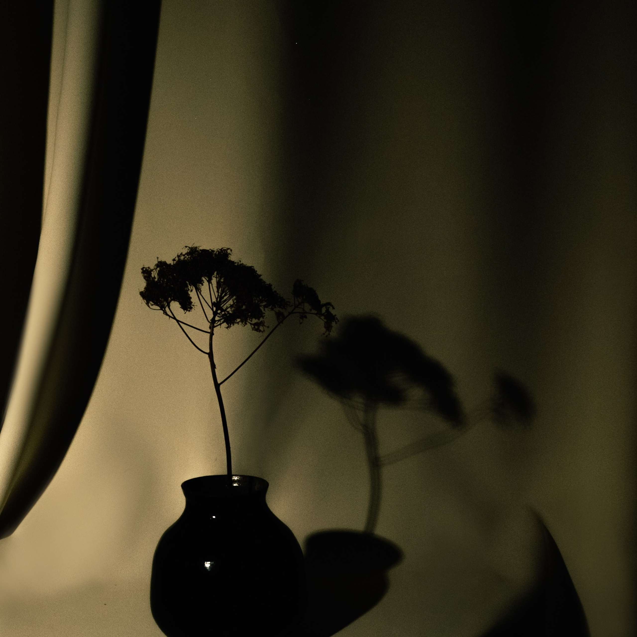 Керамика. Художественный фотограф Екатерина Серова