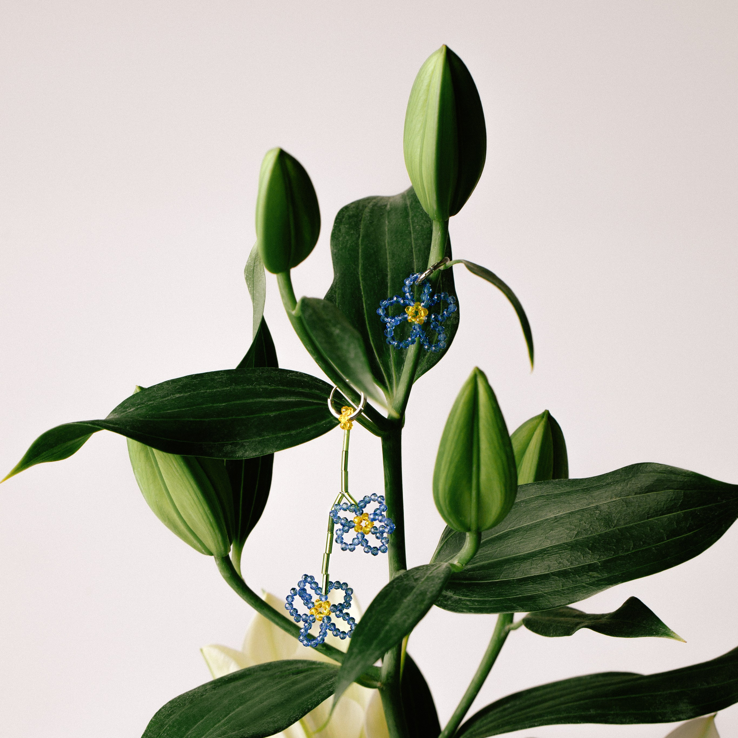 Украшения. Художественный фотограф Екатерина Серова