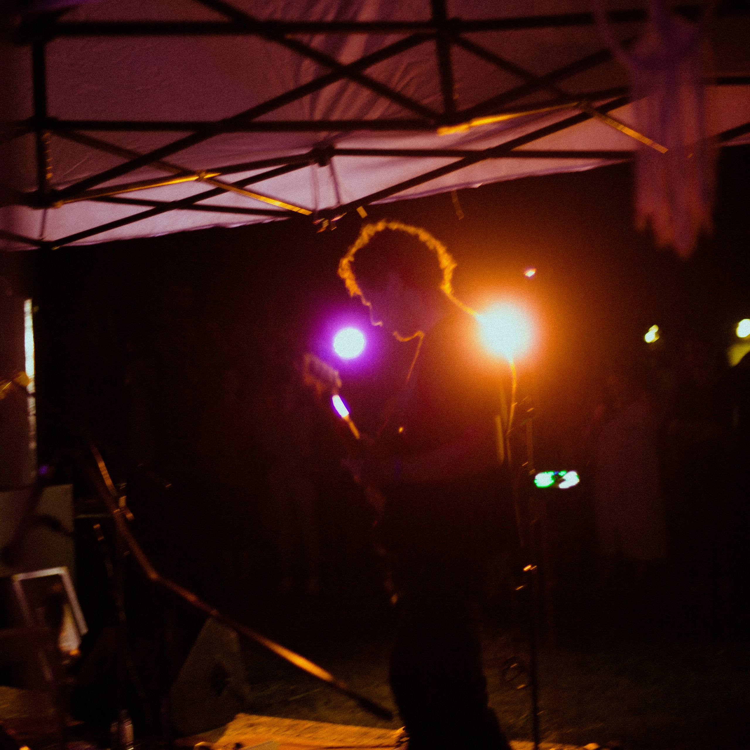 Subtropica. Художественный фотограф Екатерина Серова