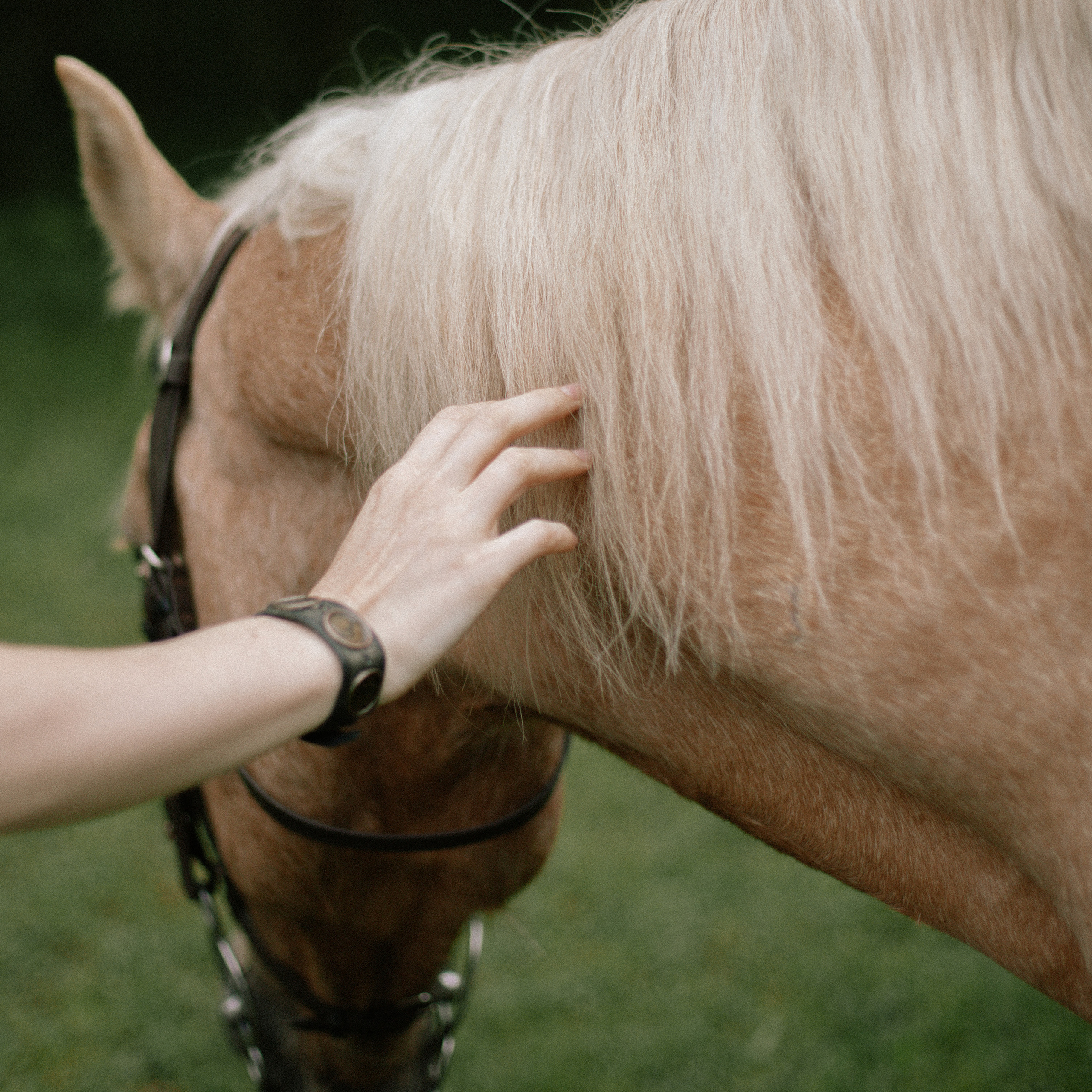 Таня и Купер. Художественный фотограф Екатерина Серова
