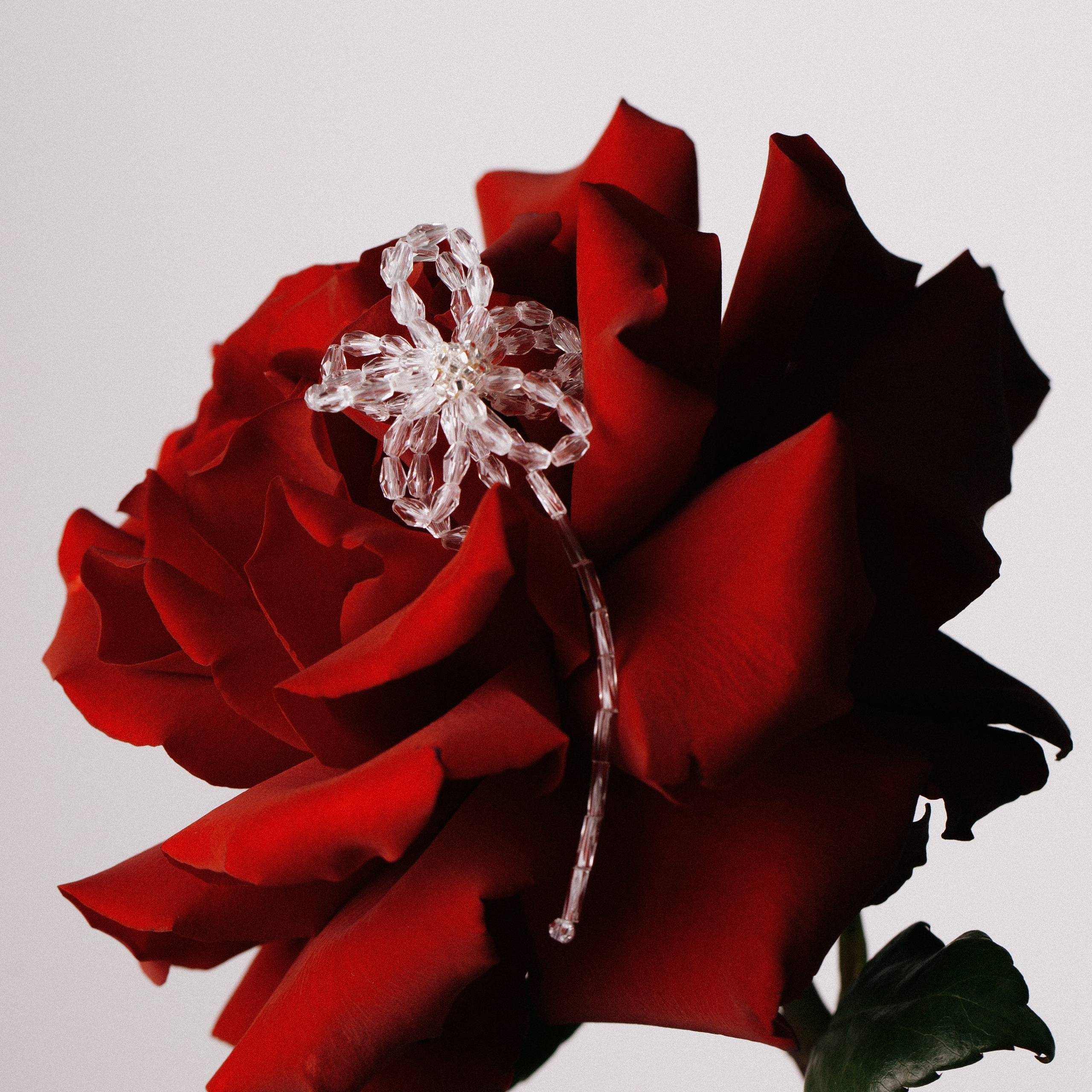 Украшения. Художественный фотограф Екатерина Серова