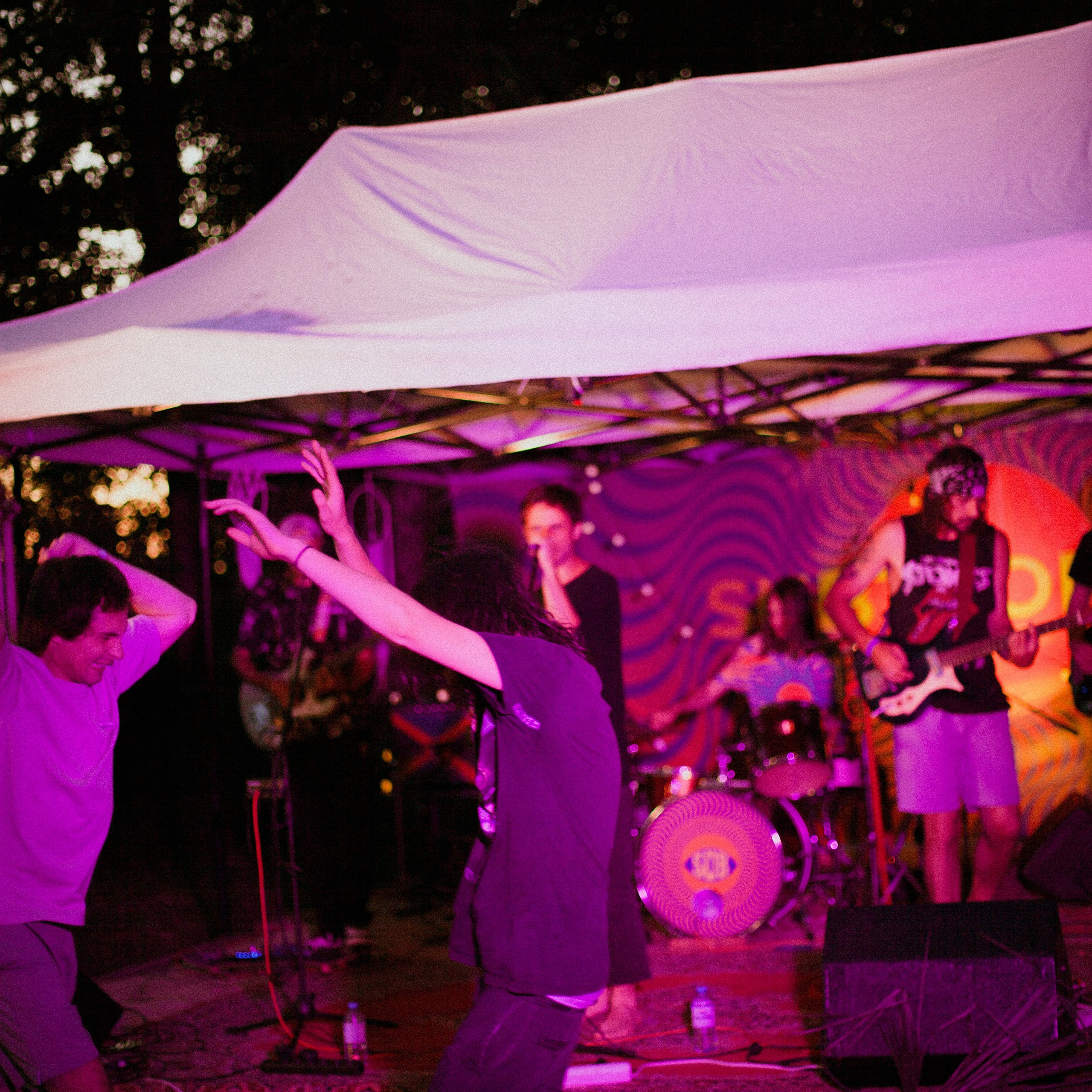 Subtropica. Художественный фотограф Екатерина Серова