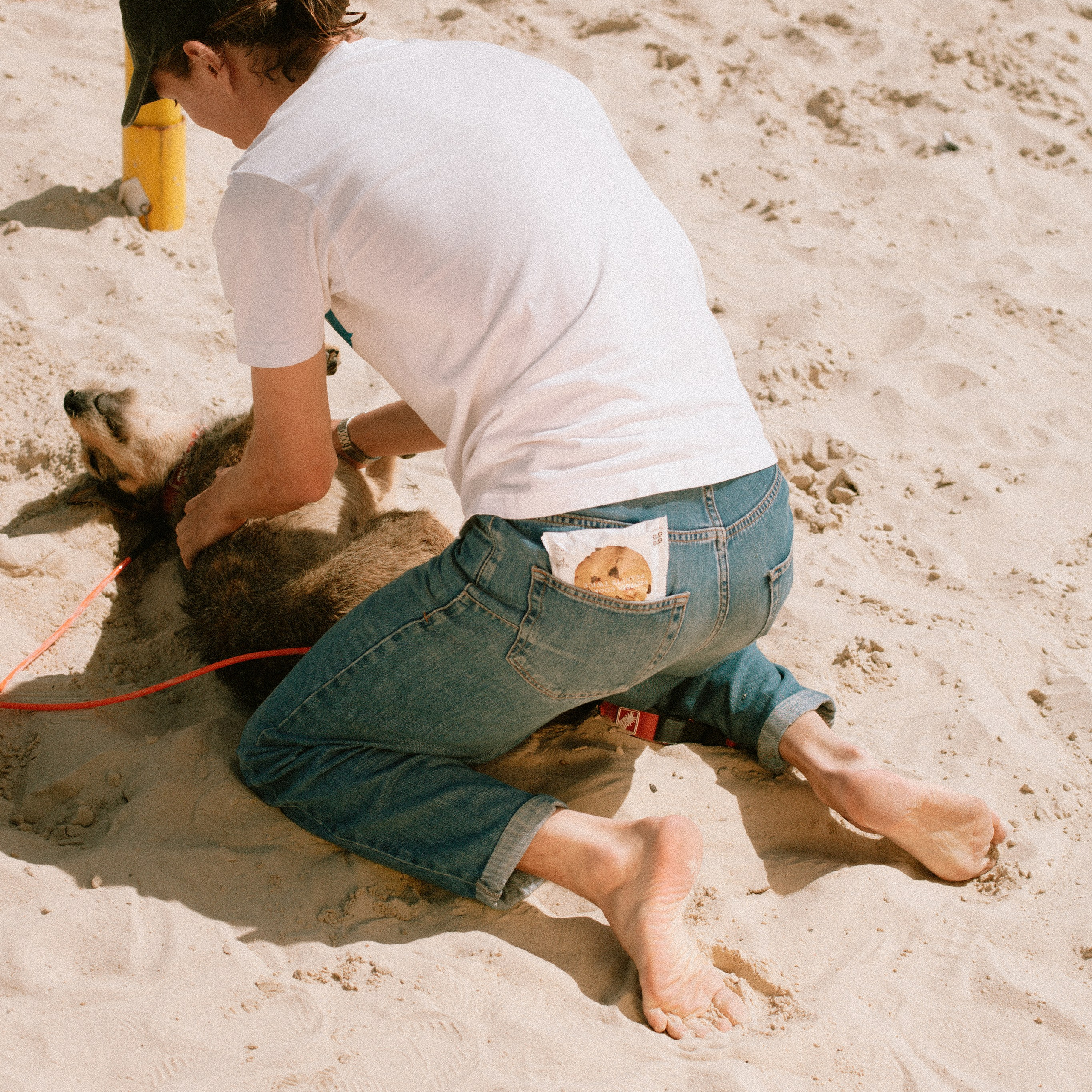 Surf Coffee cookies. Художественный фотограф Екатерина Серова
