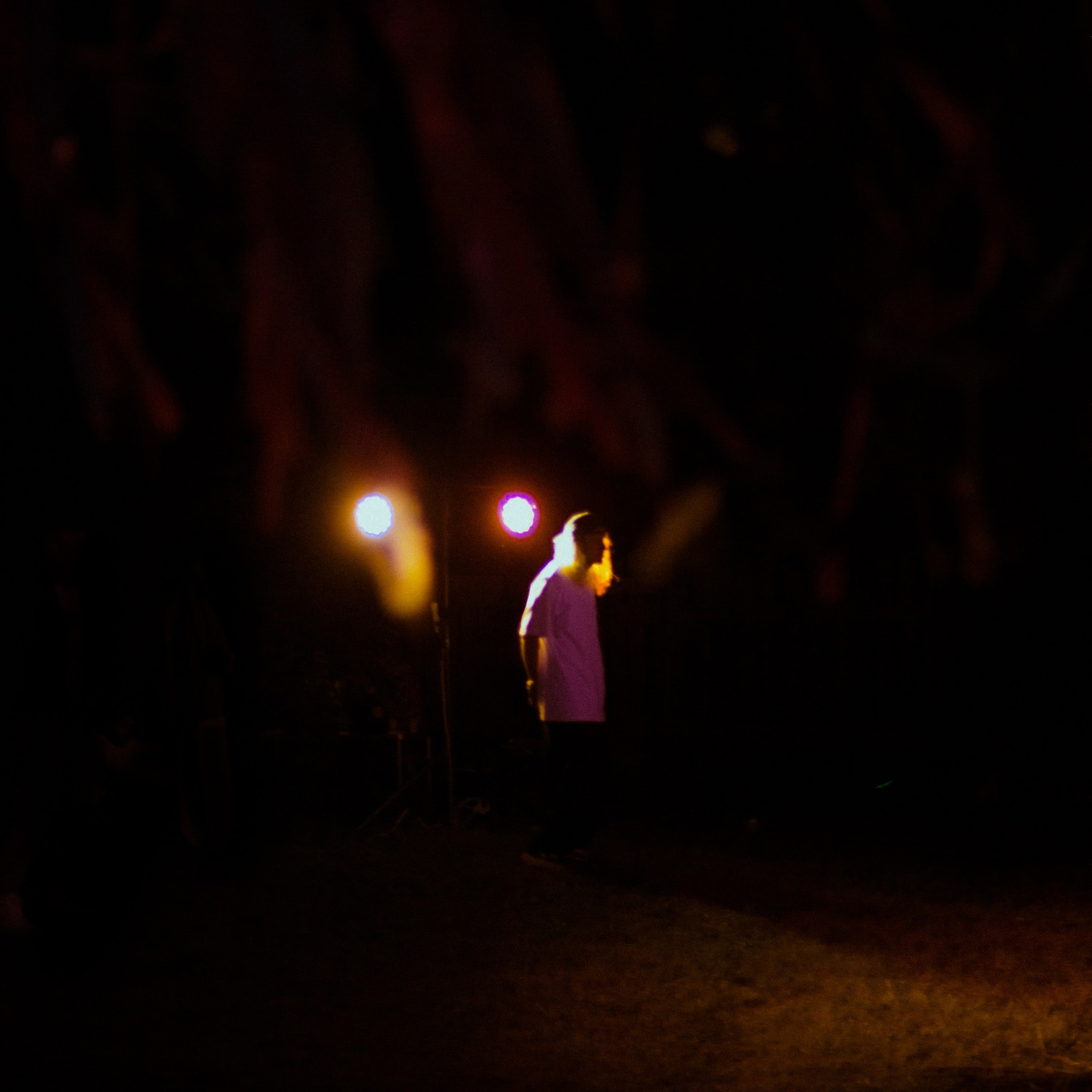 Subtropica. Художественный фотограф Екатерина Серова