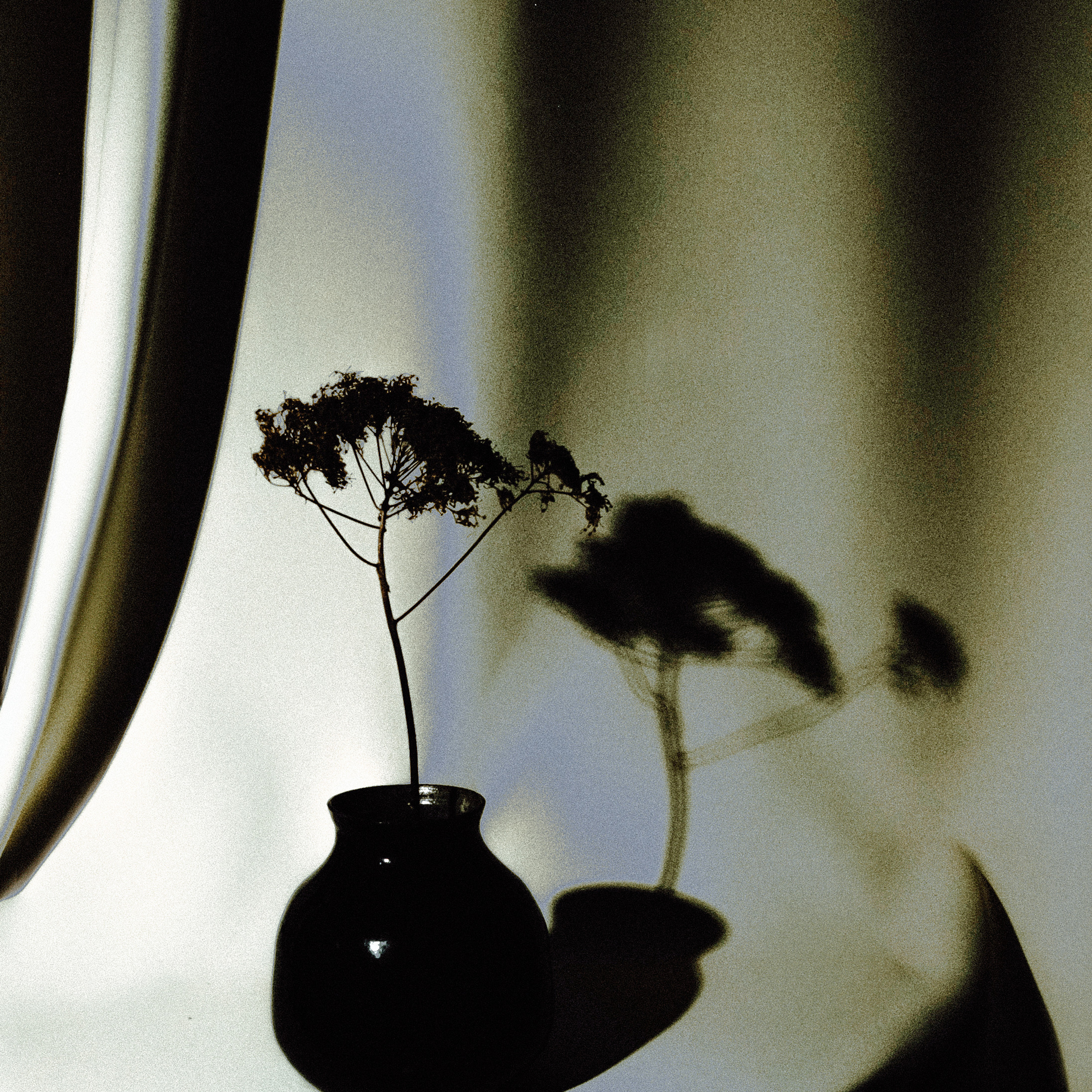 Kund ceramics. Художественный фотограф Екатерина Серова